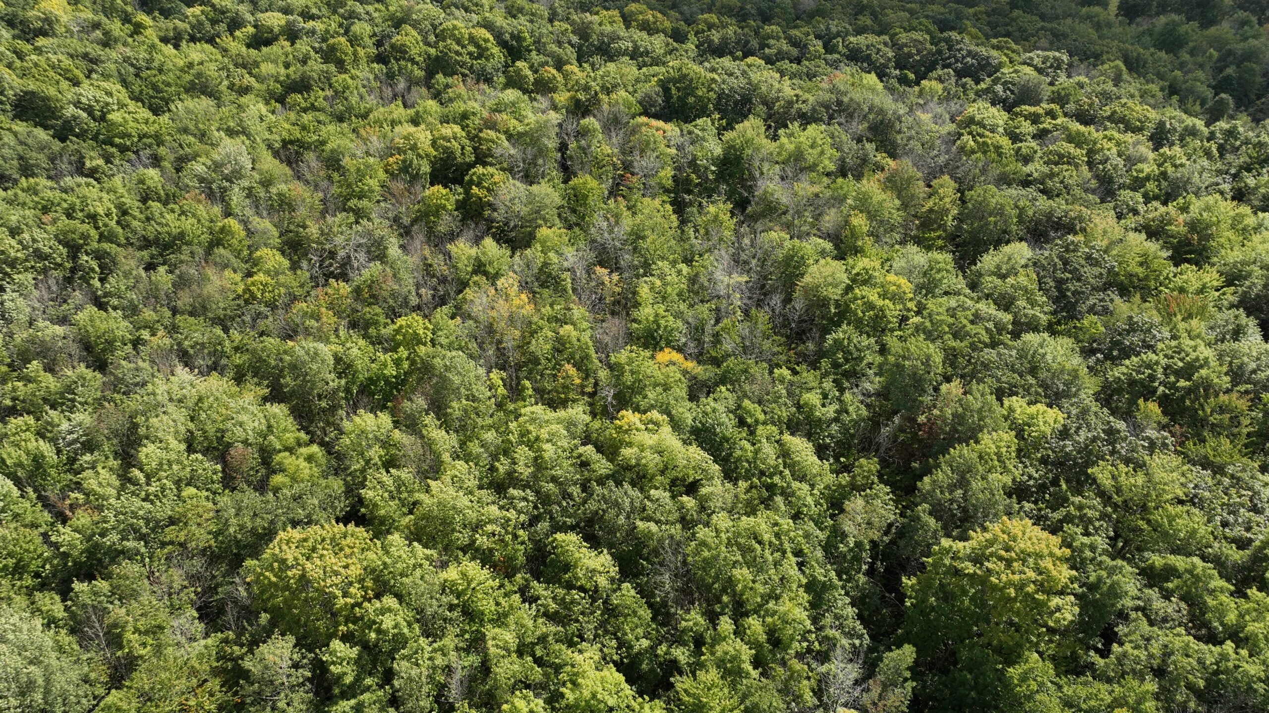 Recreational Property for Sale in Sauk County, Wisconsin