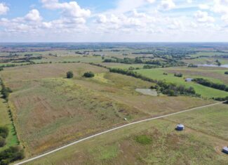80 Acres near Hatfield, MO with CRP