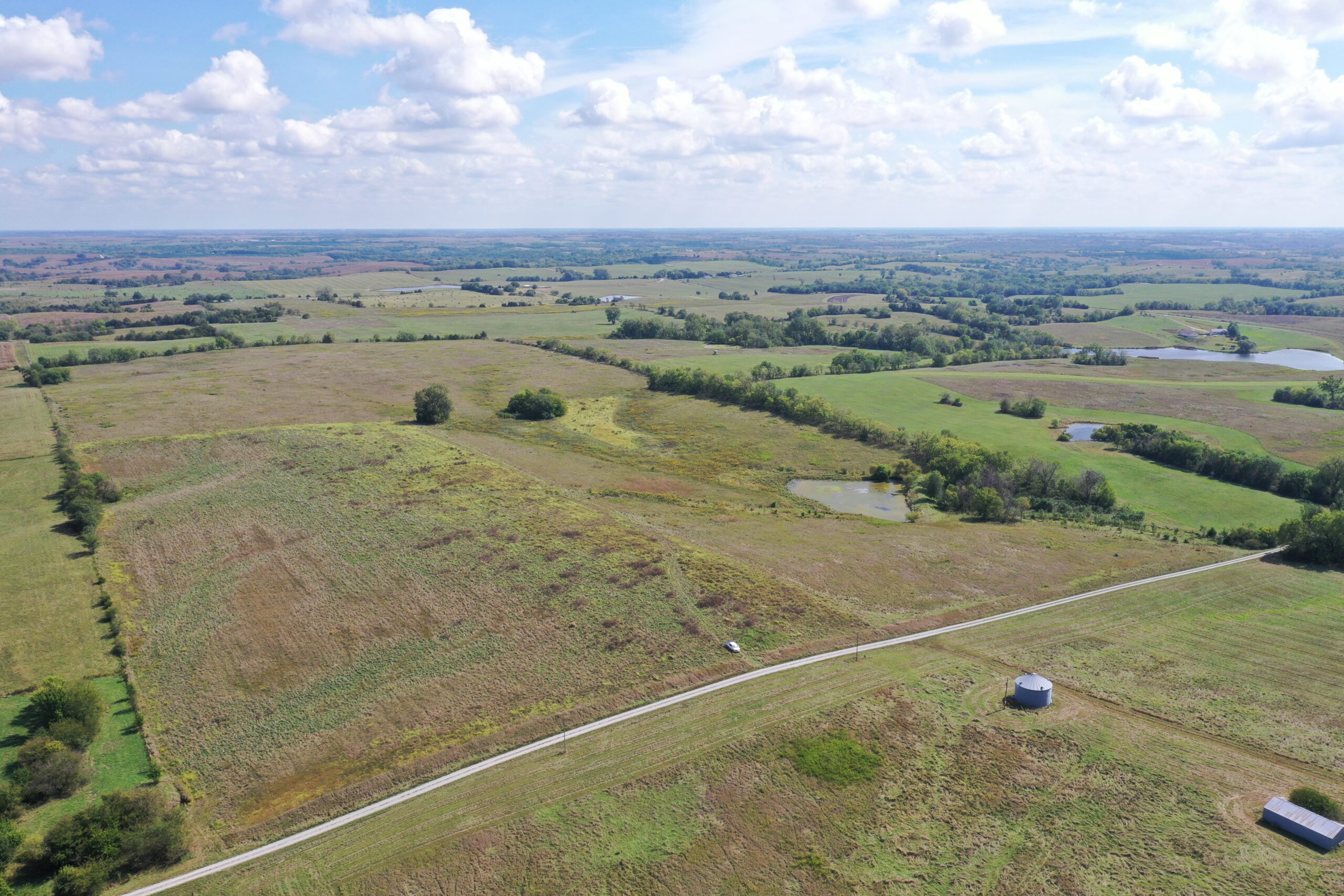 80 Acres near Hatfield, MO with CRP