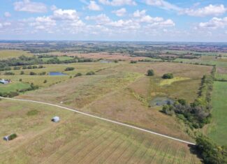 80 Acres near Hatfield, MO with CRP