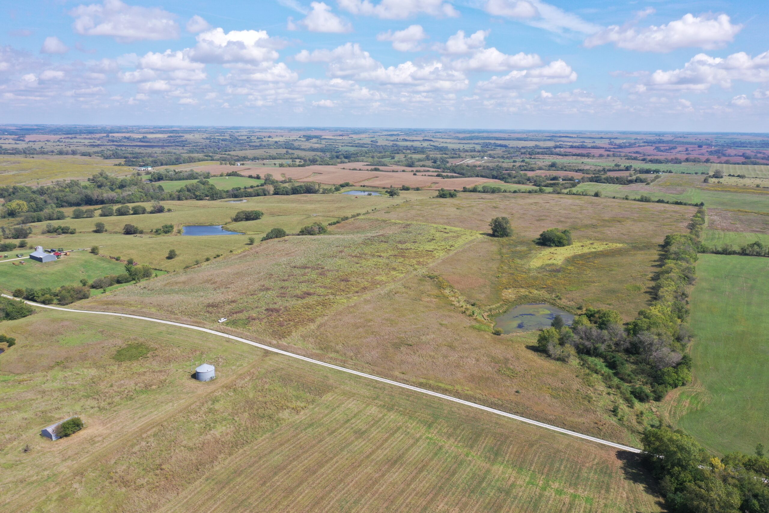 80 Acres near Hatfield, MO with CRP