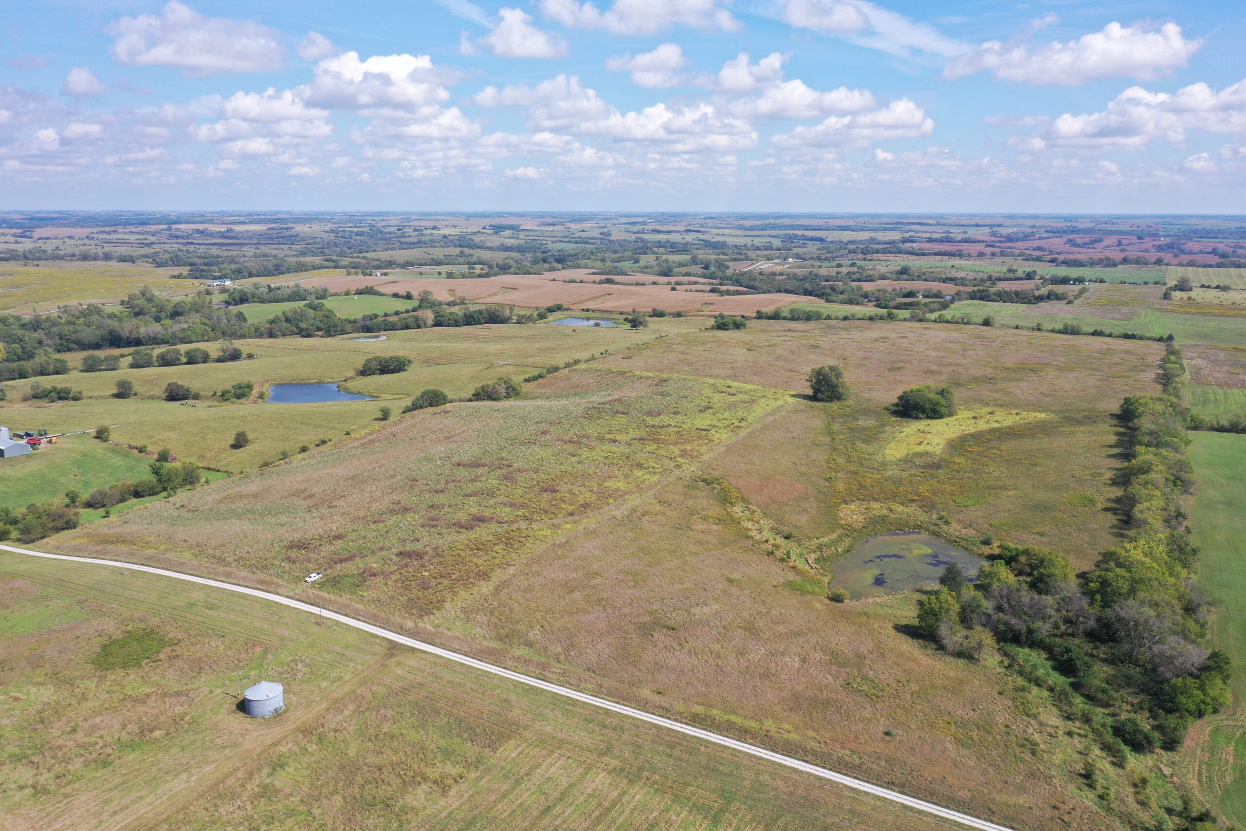 80 Acres near Hatfield, MO with CRP