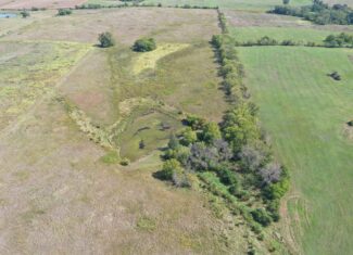80 Acres near Hatfield, MO with CRP