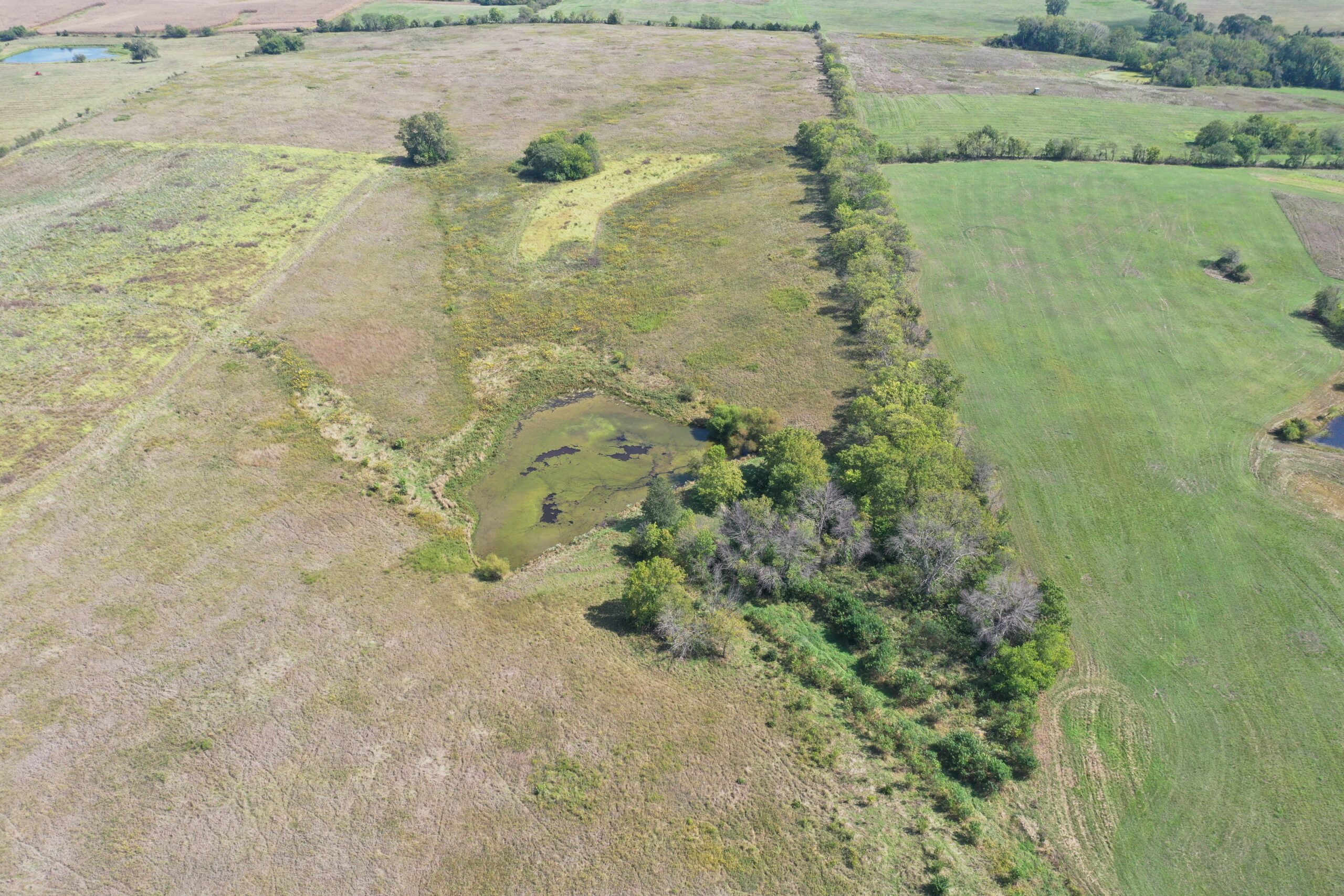 80 Acres near Hatfield, MO with CRP