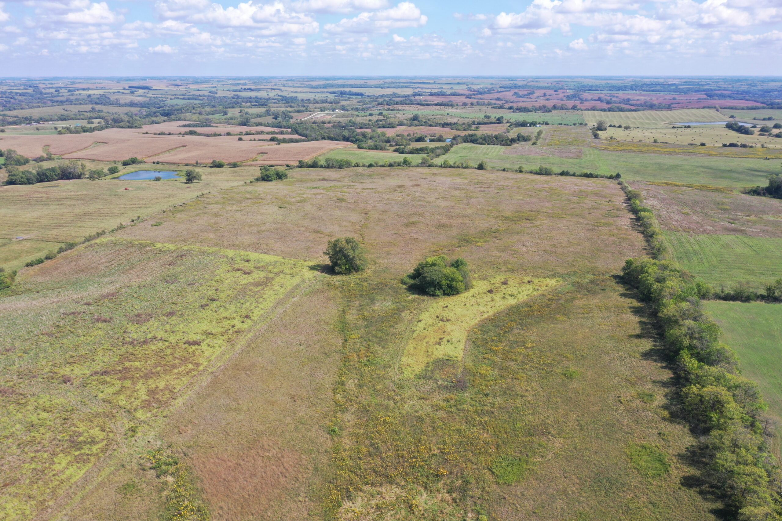 80 Acres near Hatfield, MO with CRP