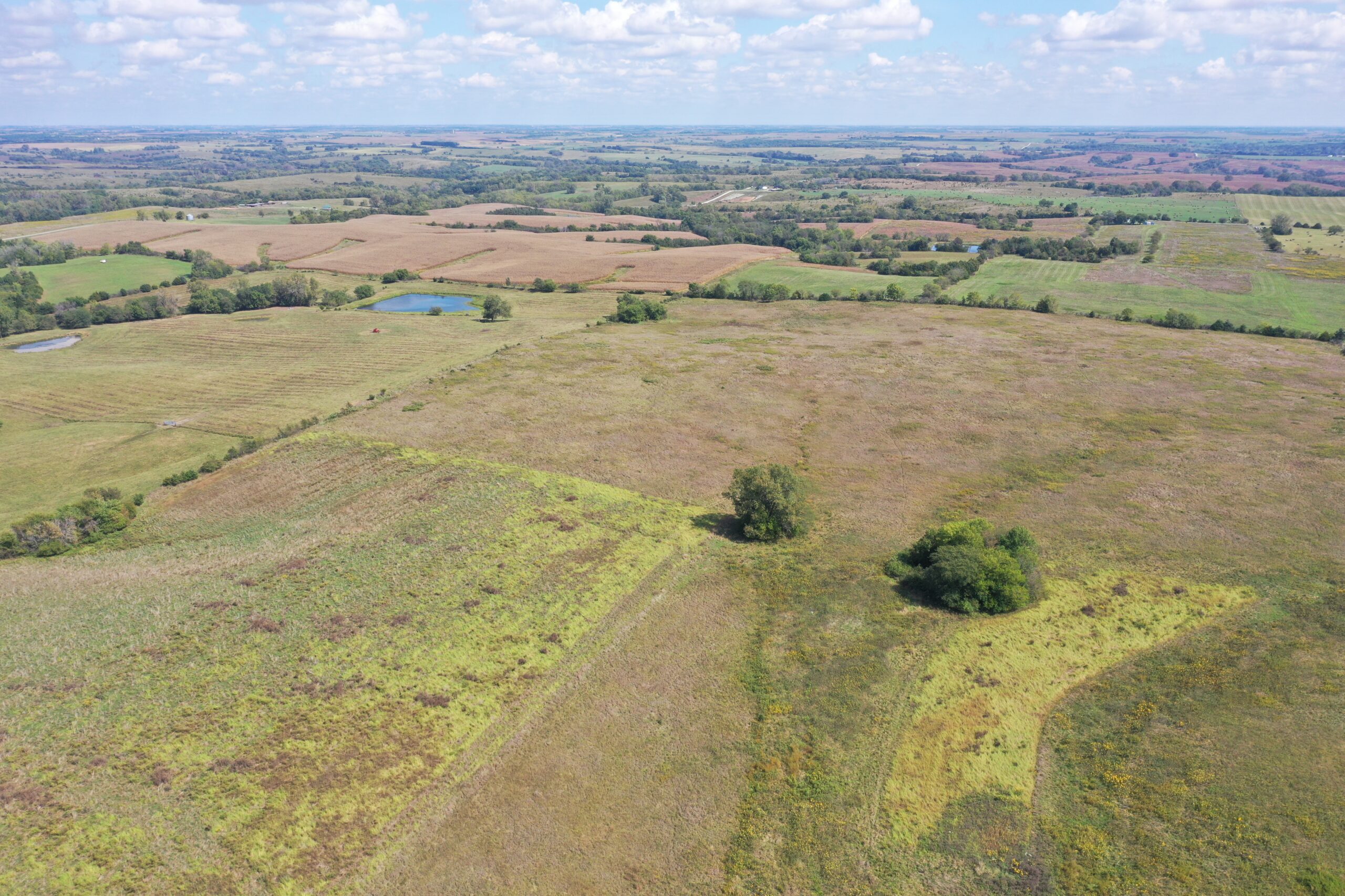 80 Acres near Hatfield, MO with CRP