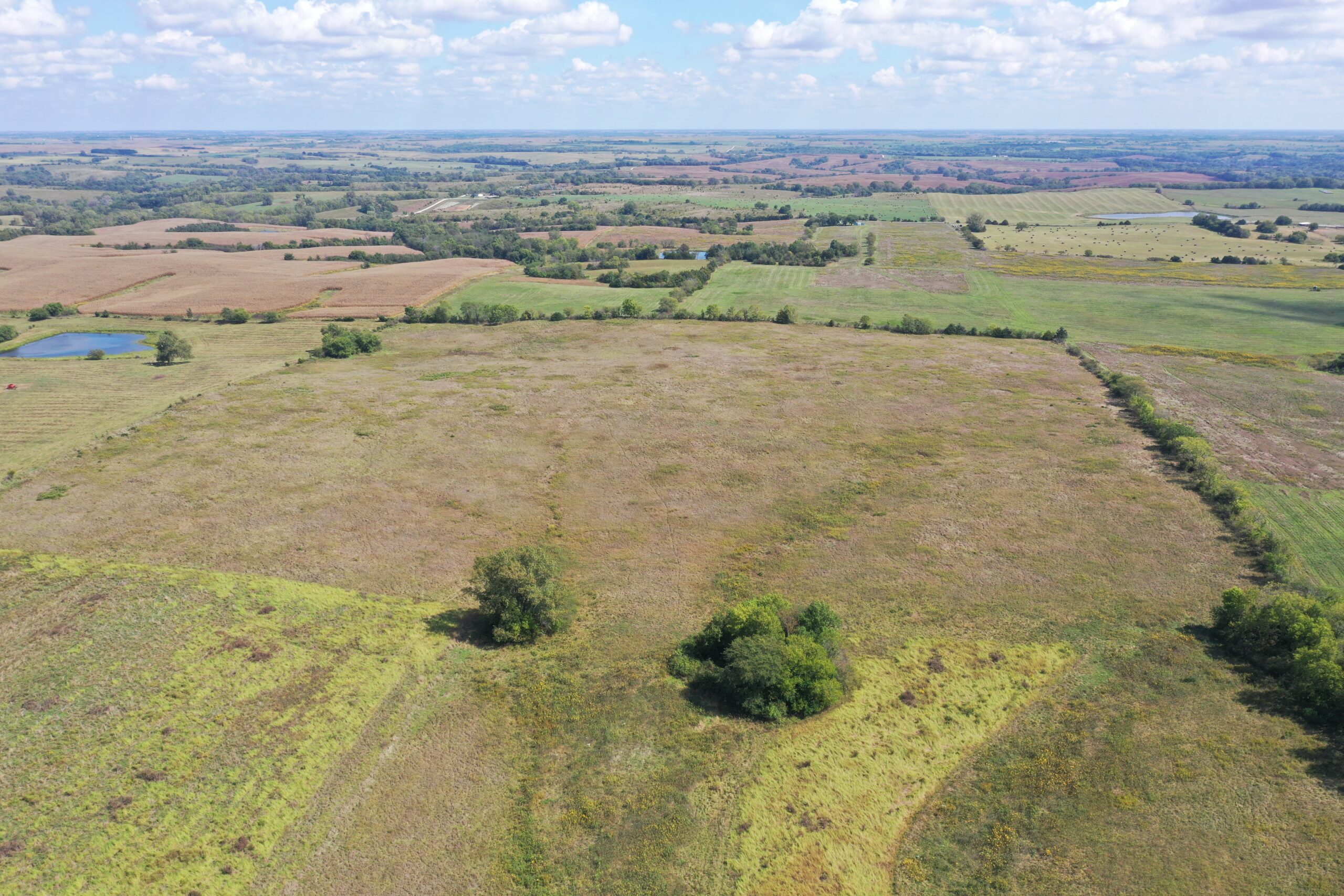 80 Acres near Hatfield, MO with CRP
