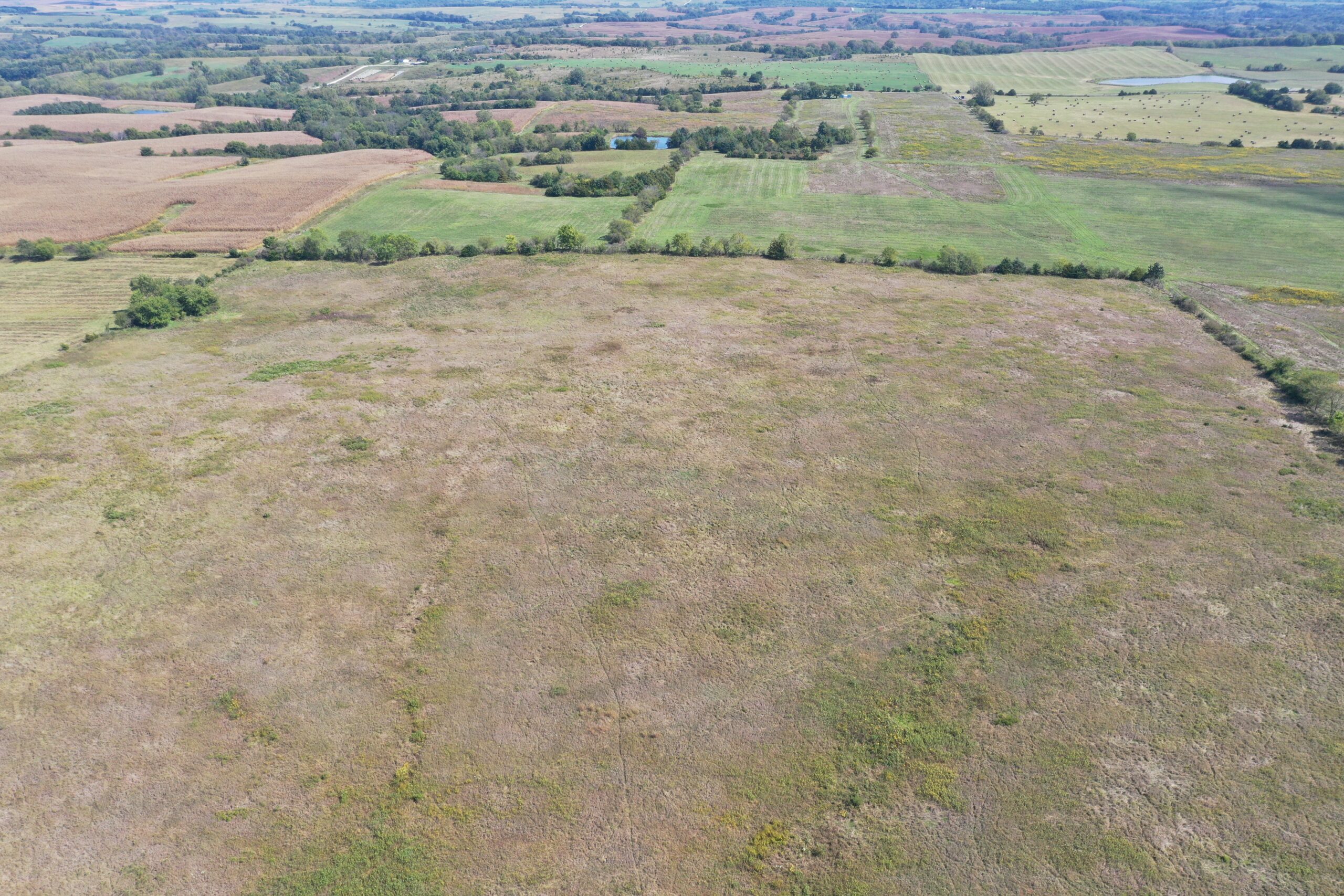 80 Acres near Hatfield, MO with CRP