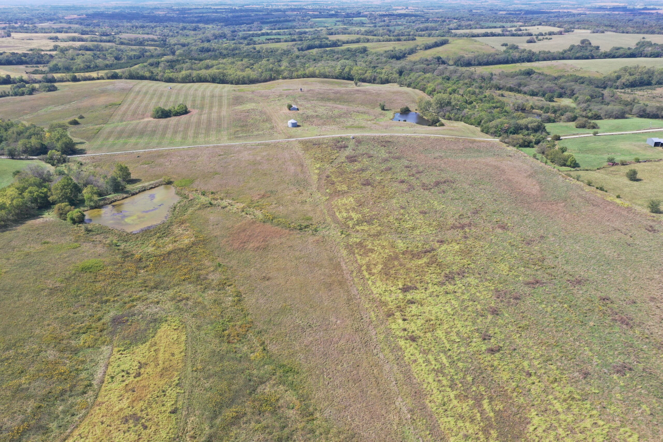 80 Acres near Hatfield, MO with CRP