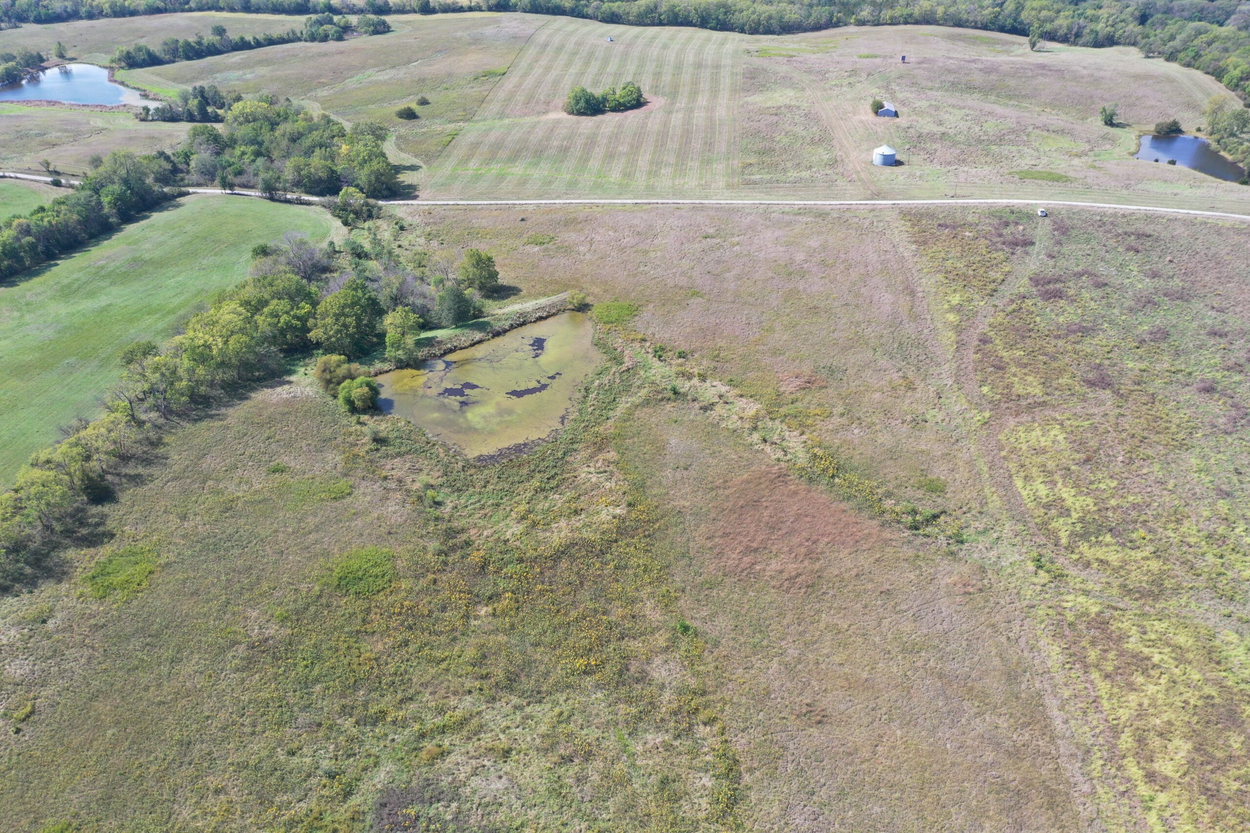 80 Acres near Hatfield, MO with CRP
