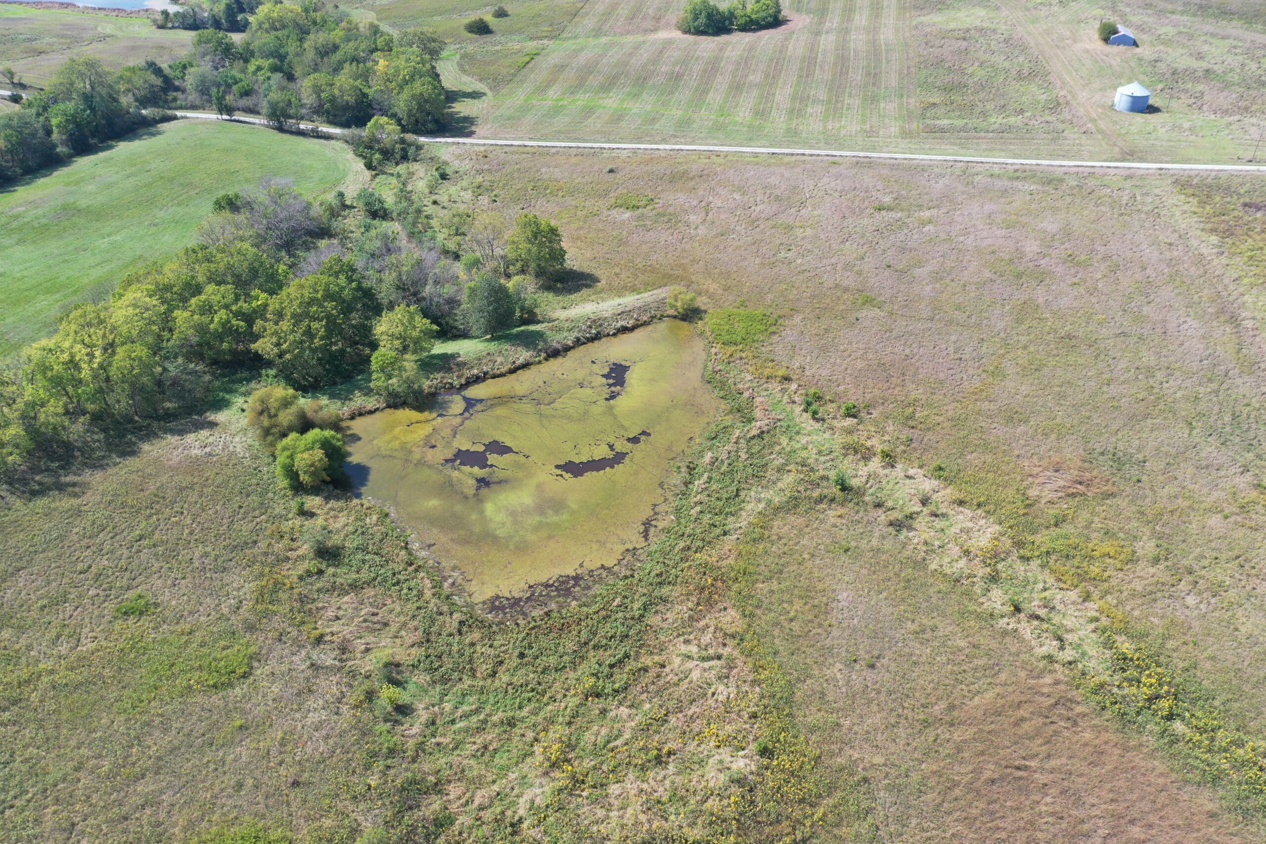 80 Acres near Hatfield, MO with CRP