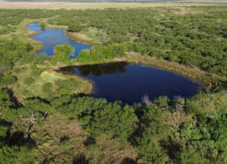 North Texas Ranch/Hunting Land for Sale with Minerals!