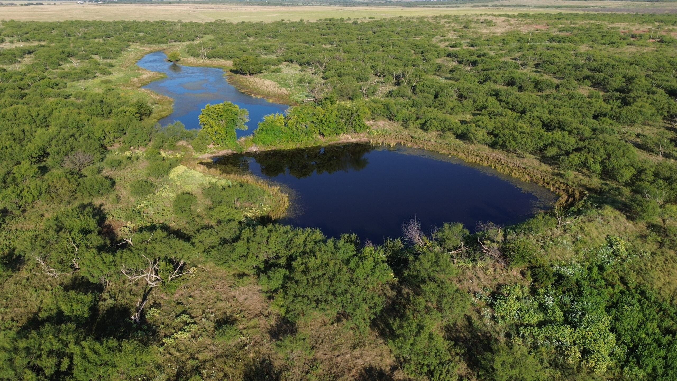 North Texas Ranch/Hunting Land for Sale with Minerals!