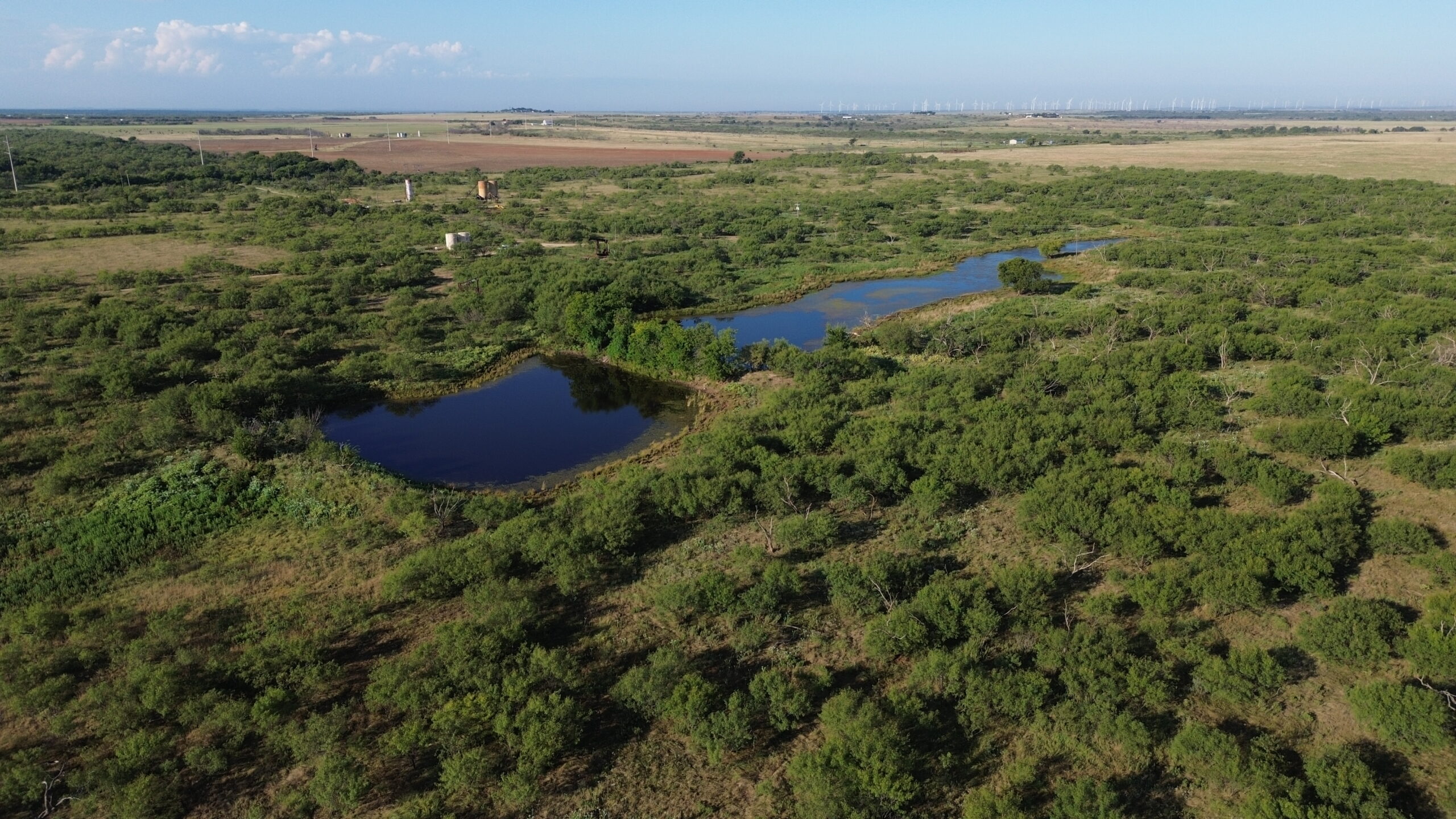 North Texas Ranch/Hunting Land for Sale with Minerals!