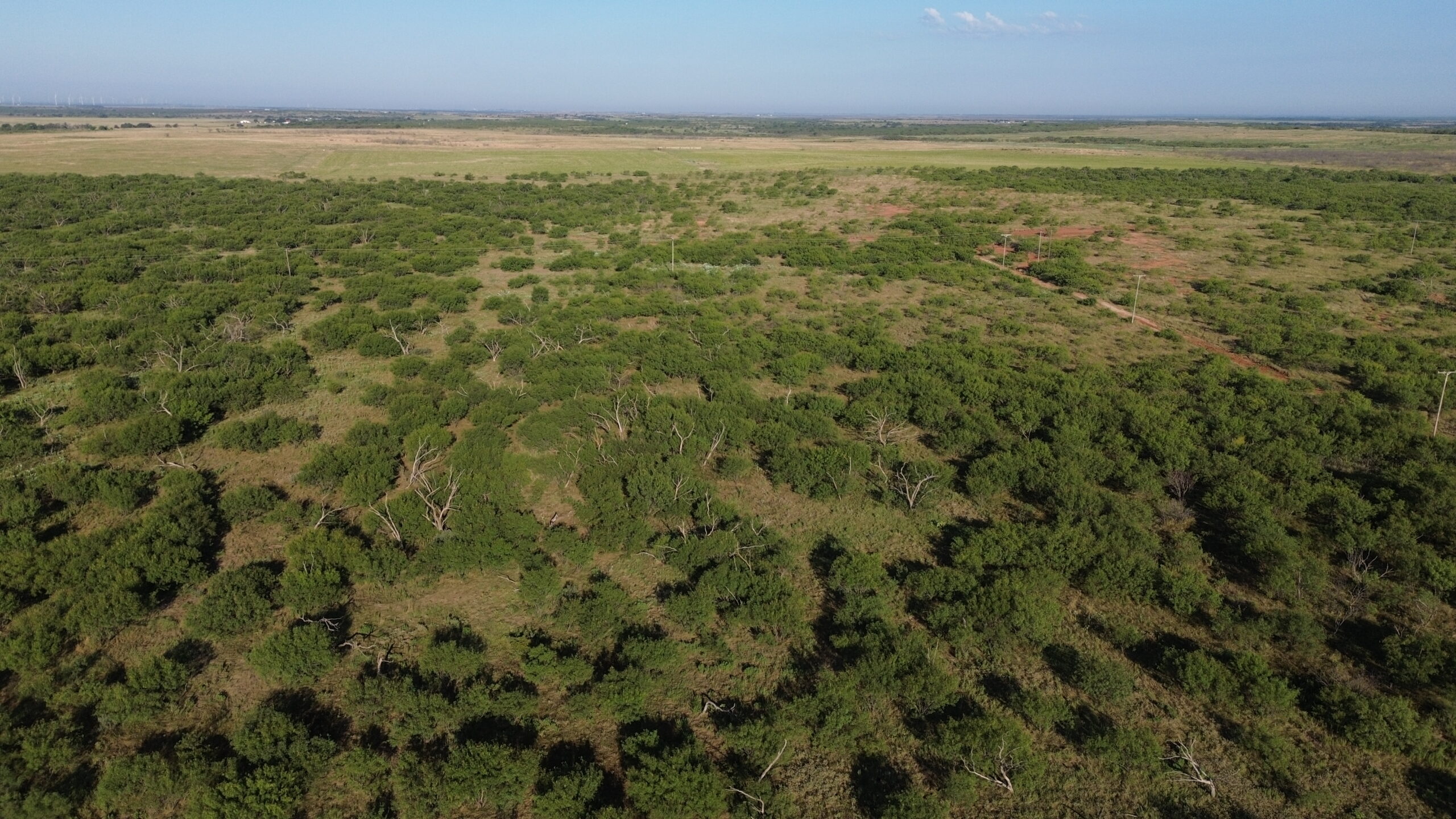 North Texas Ranch/Hunting Land for Sale with Minerals!