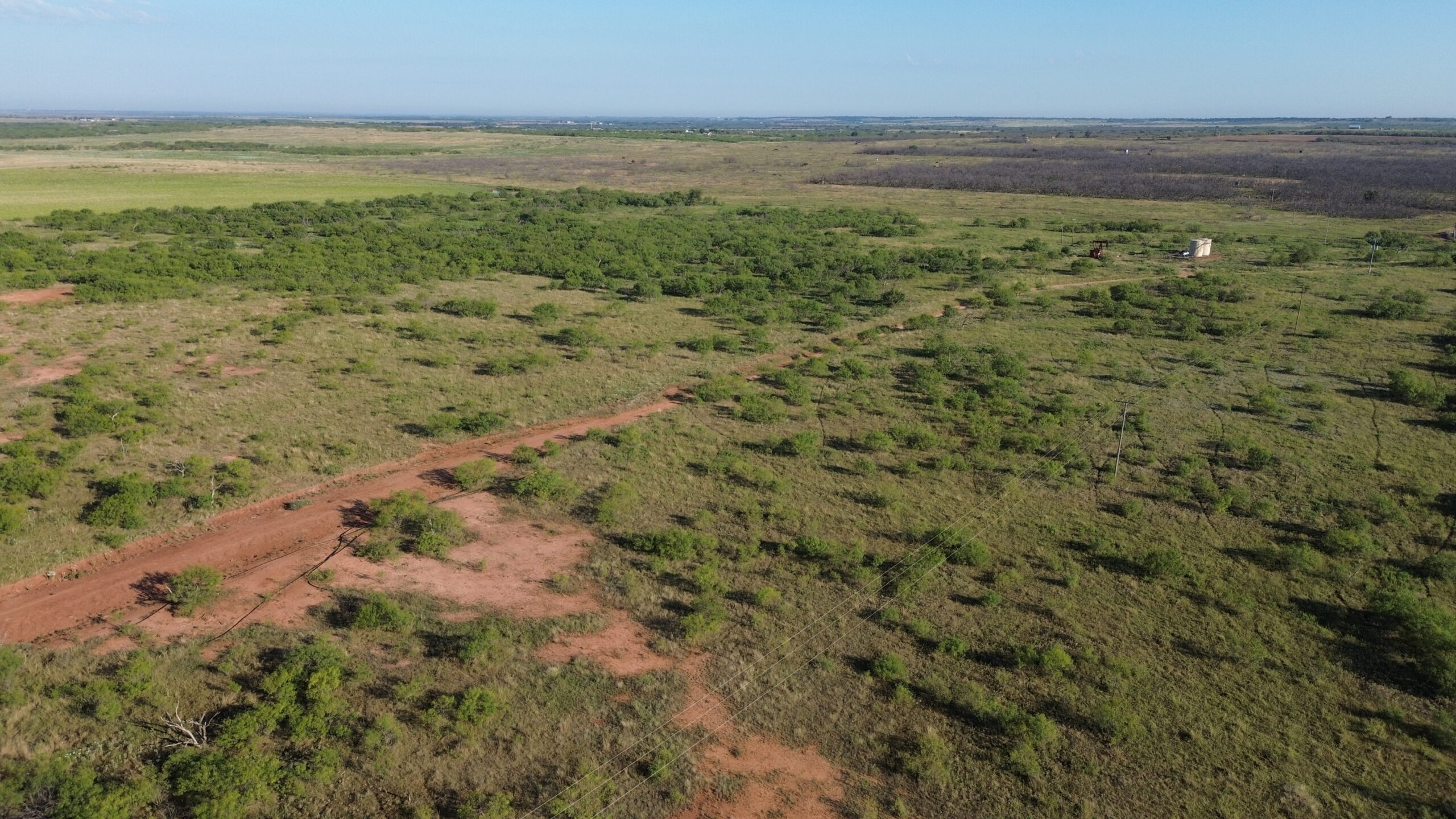 North Texas Ranch/Hunting Land for Sale with Minerals!