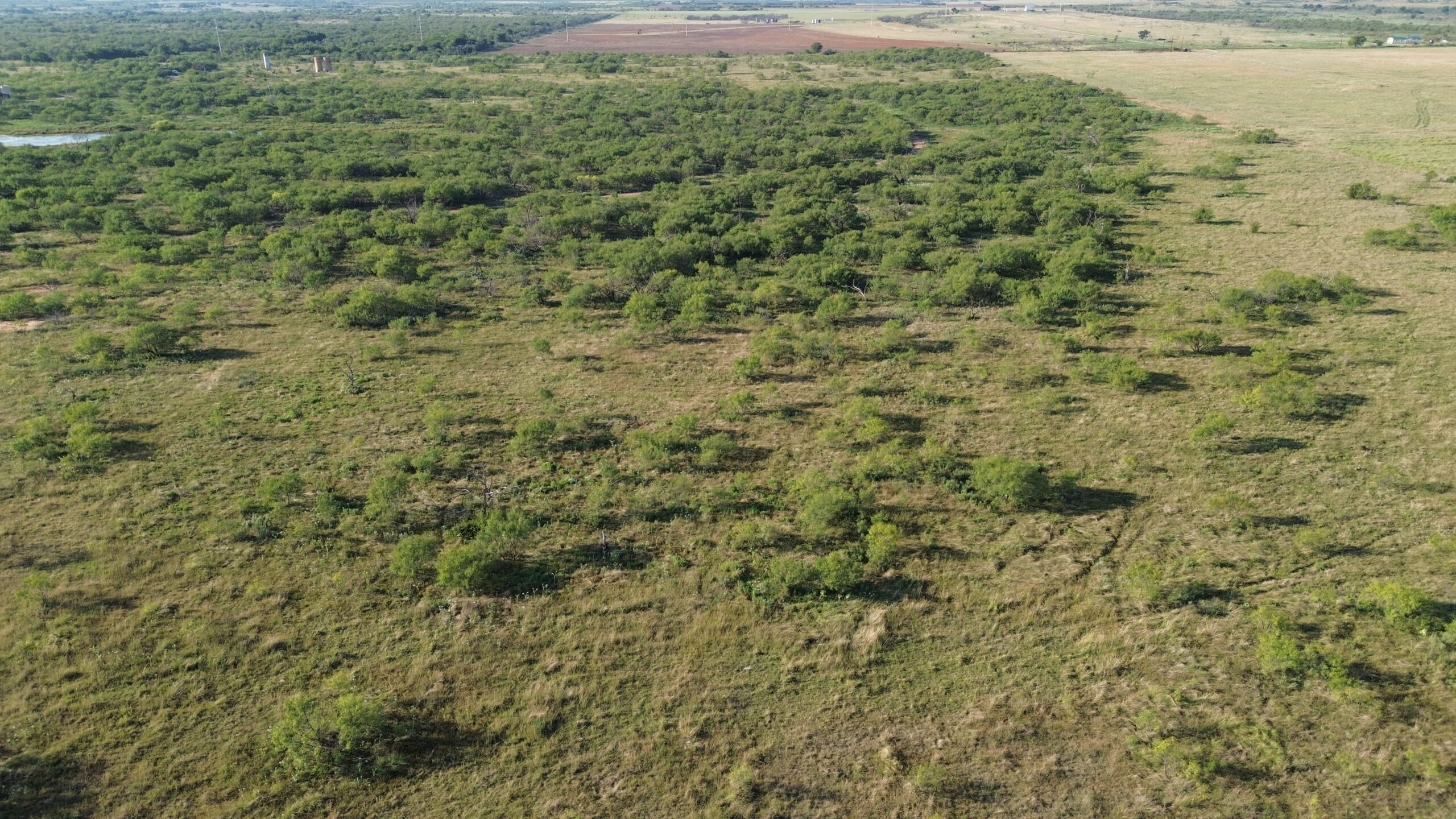 North Texas Ranch/Hunting Land for Sale with Minerals!