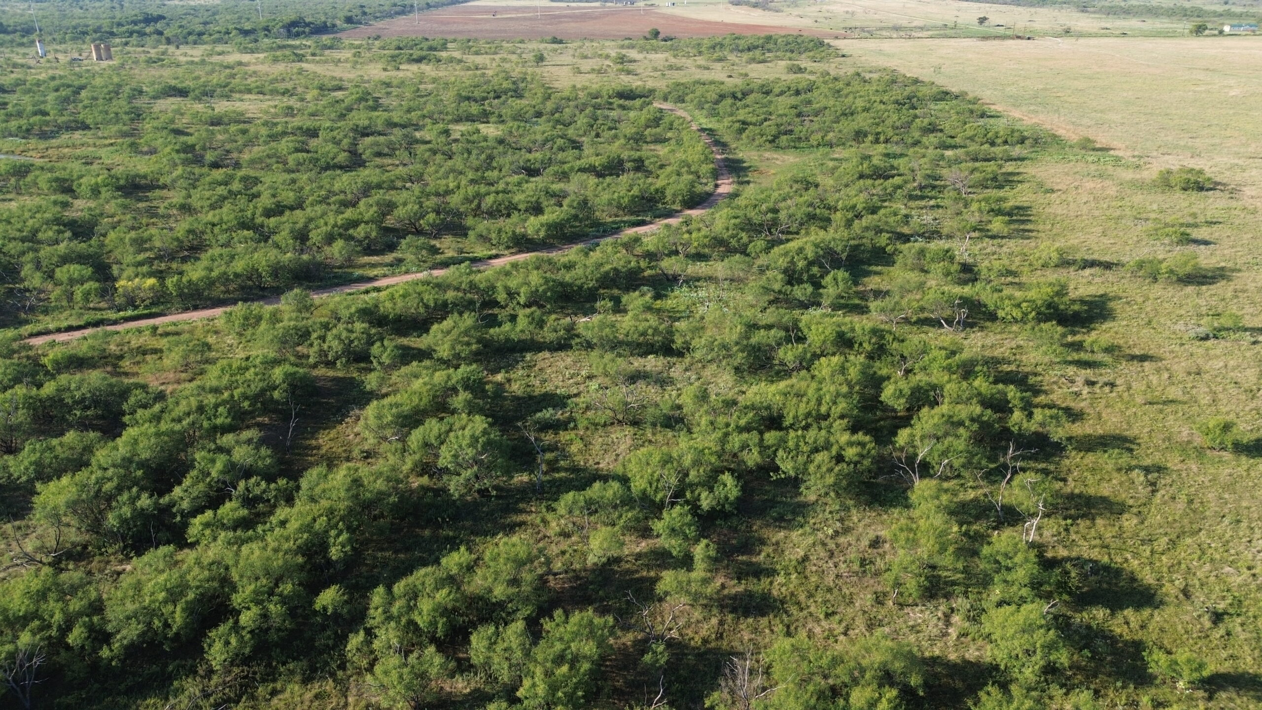 North Texas Ranch/Hunting Land for Sale with Minerals!