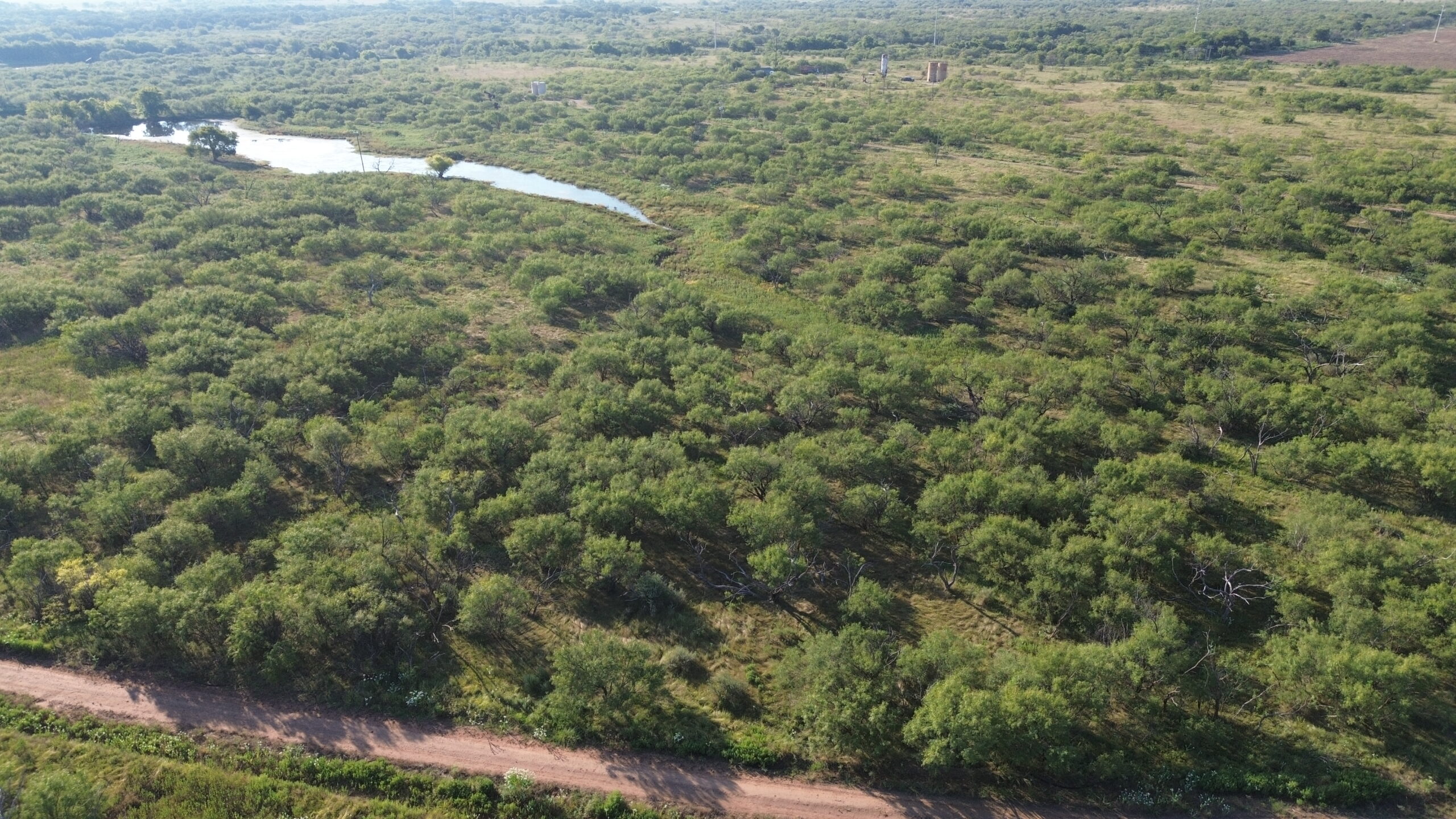 North Texas Ranch/Hunting Land for Sale with Minerals!