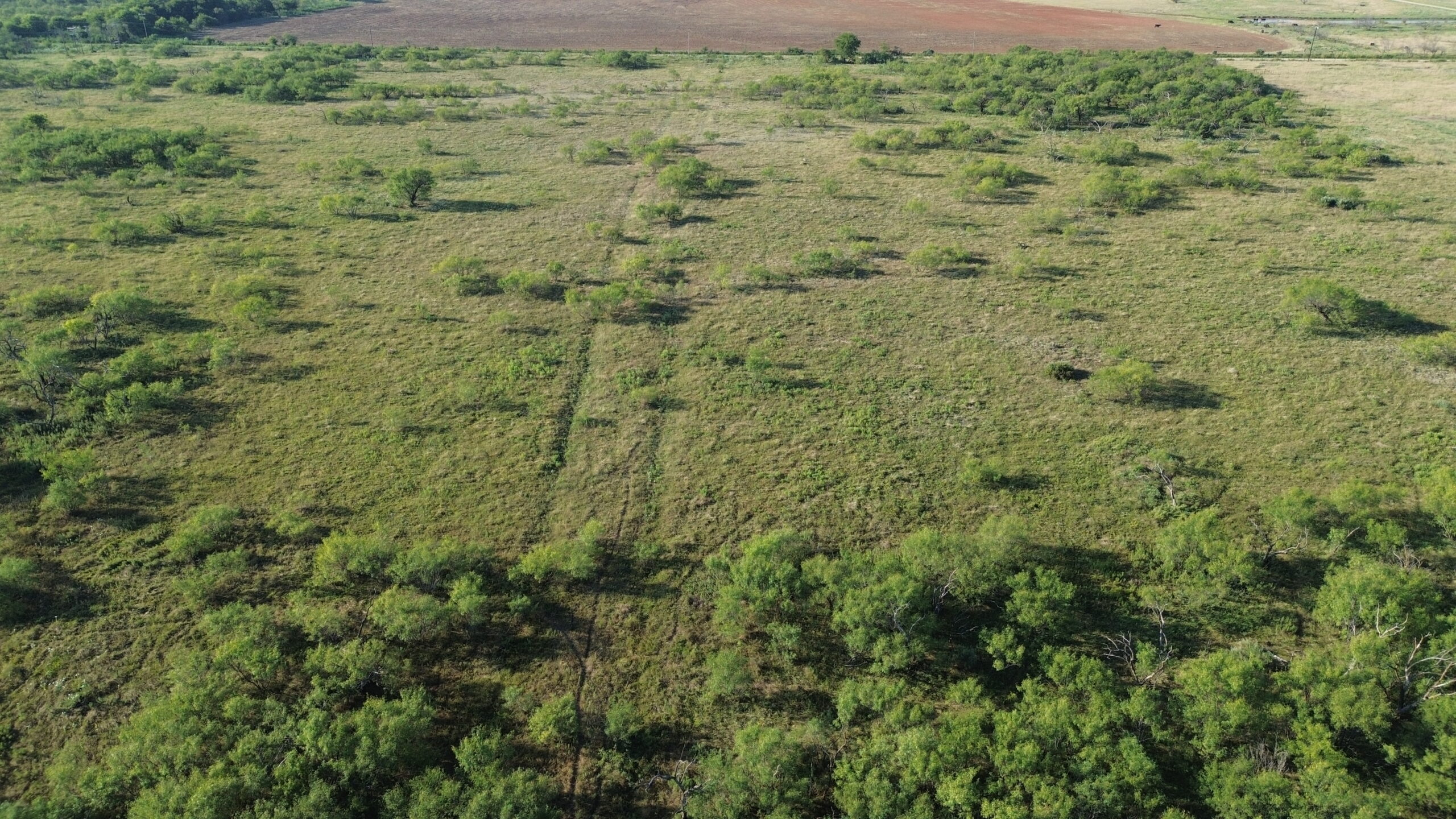 North Texas Ranch/Hunting Land for Sale with Minerals!