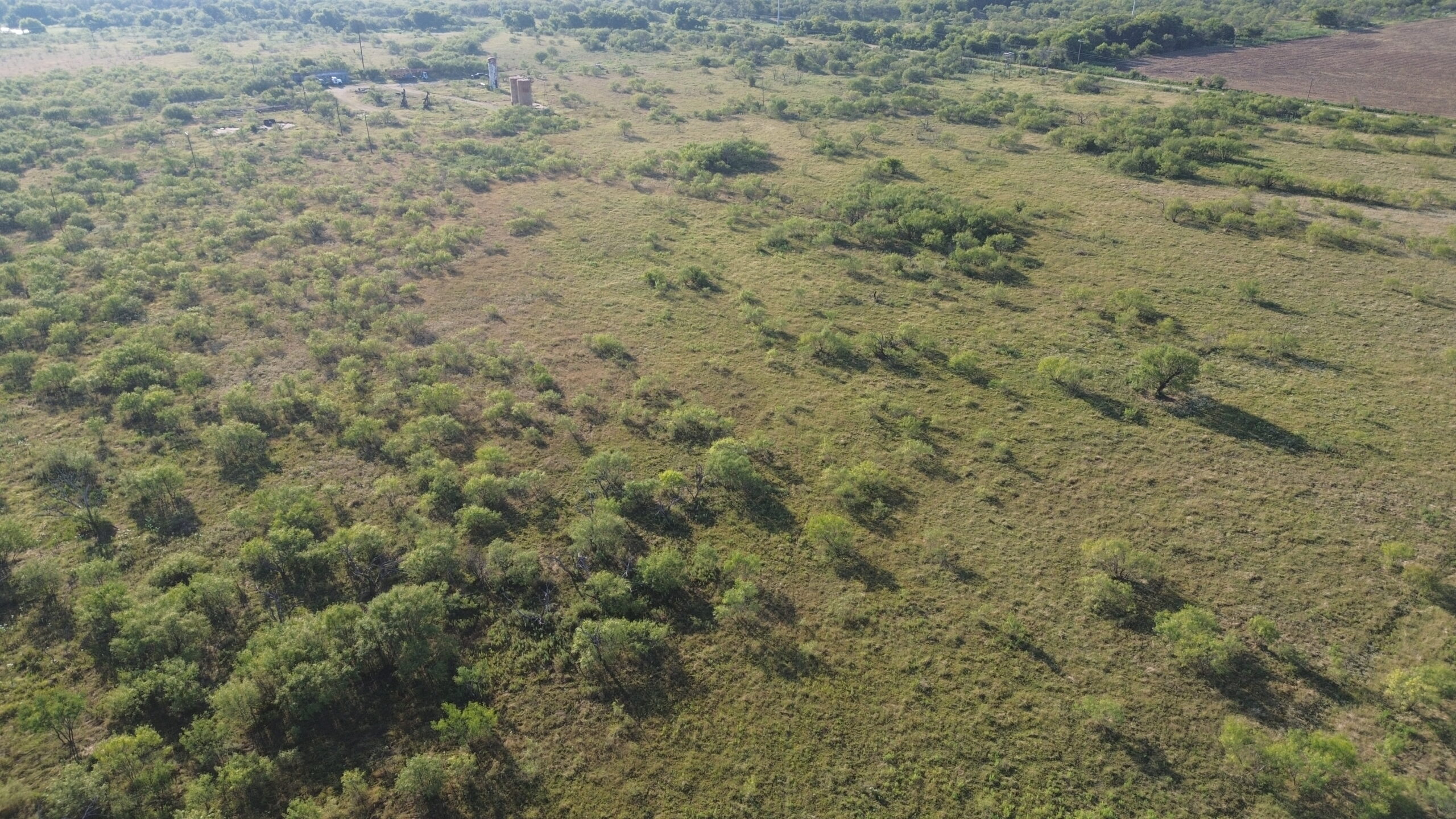 North Texas Ranch/Hunting Land for Sale with Minerals!