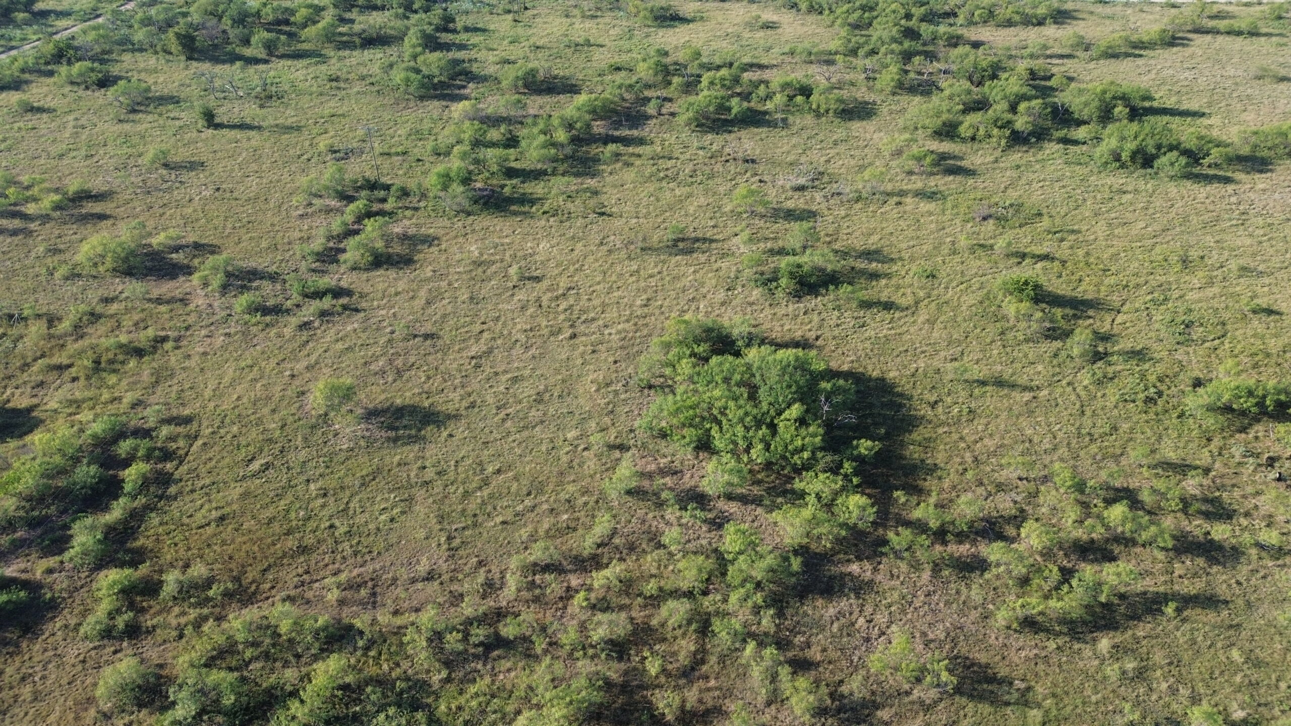 North Texas Ranch/Hunting Land for Sale with Minerals!