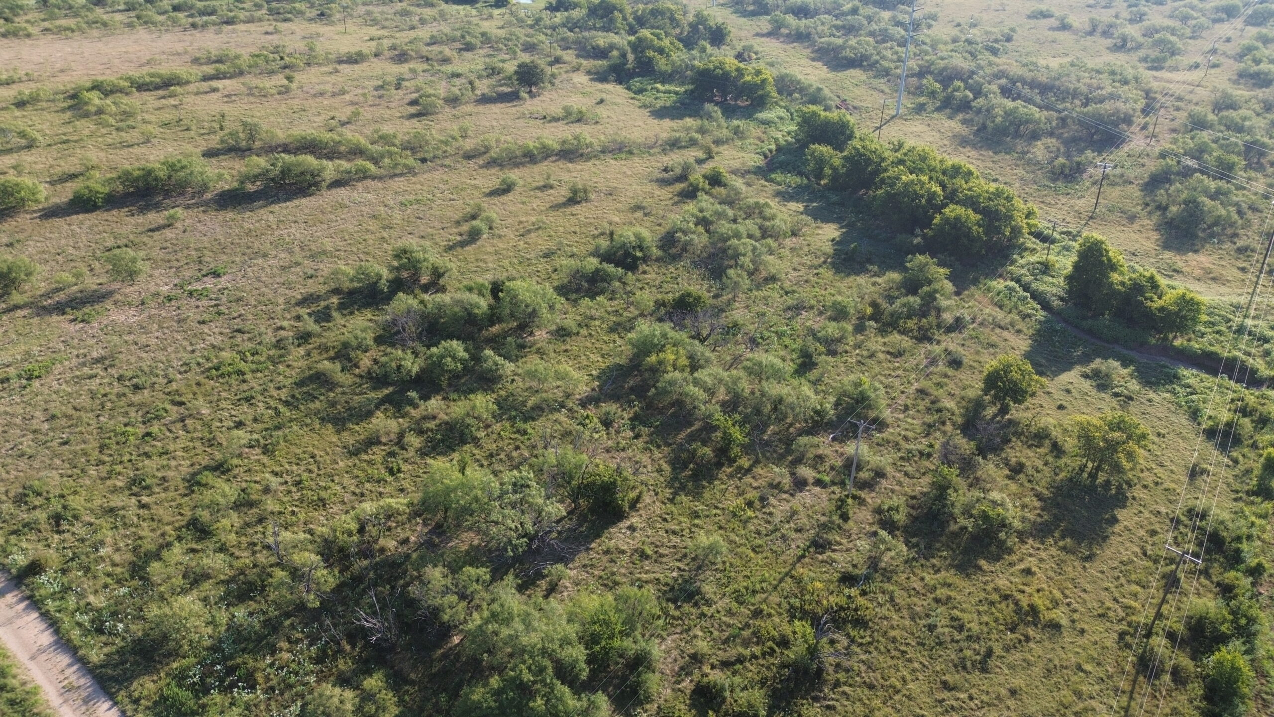 North Texas Ranch/Hunting Land for Sale with Minerals!