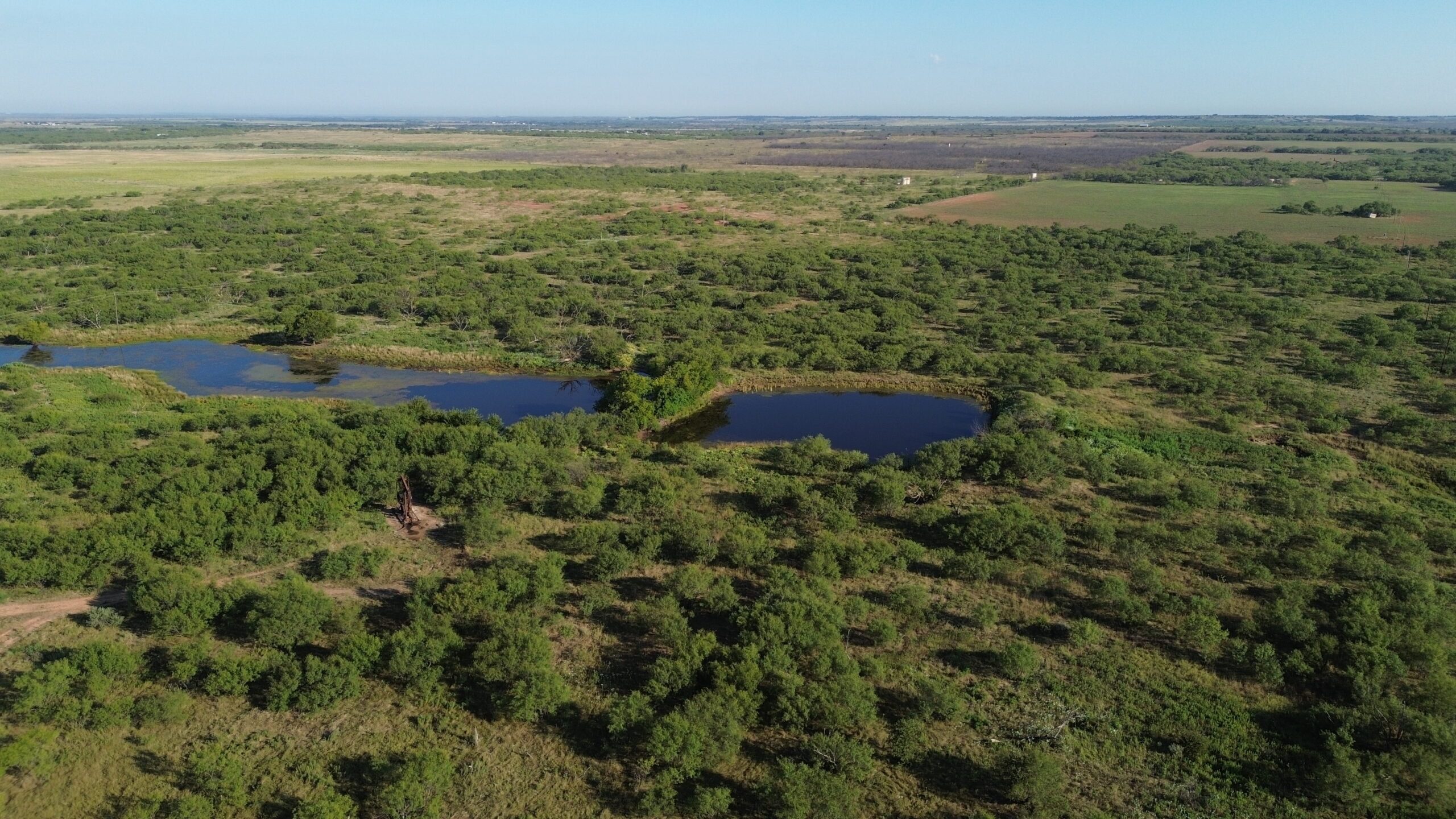 North Texas Ranch/Hunting Land for Sale with Minerals!
