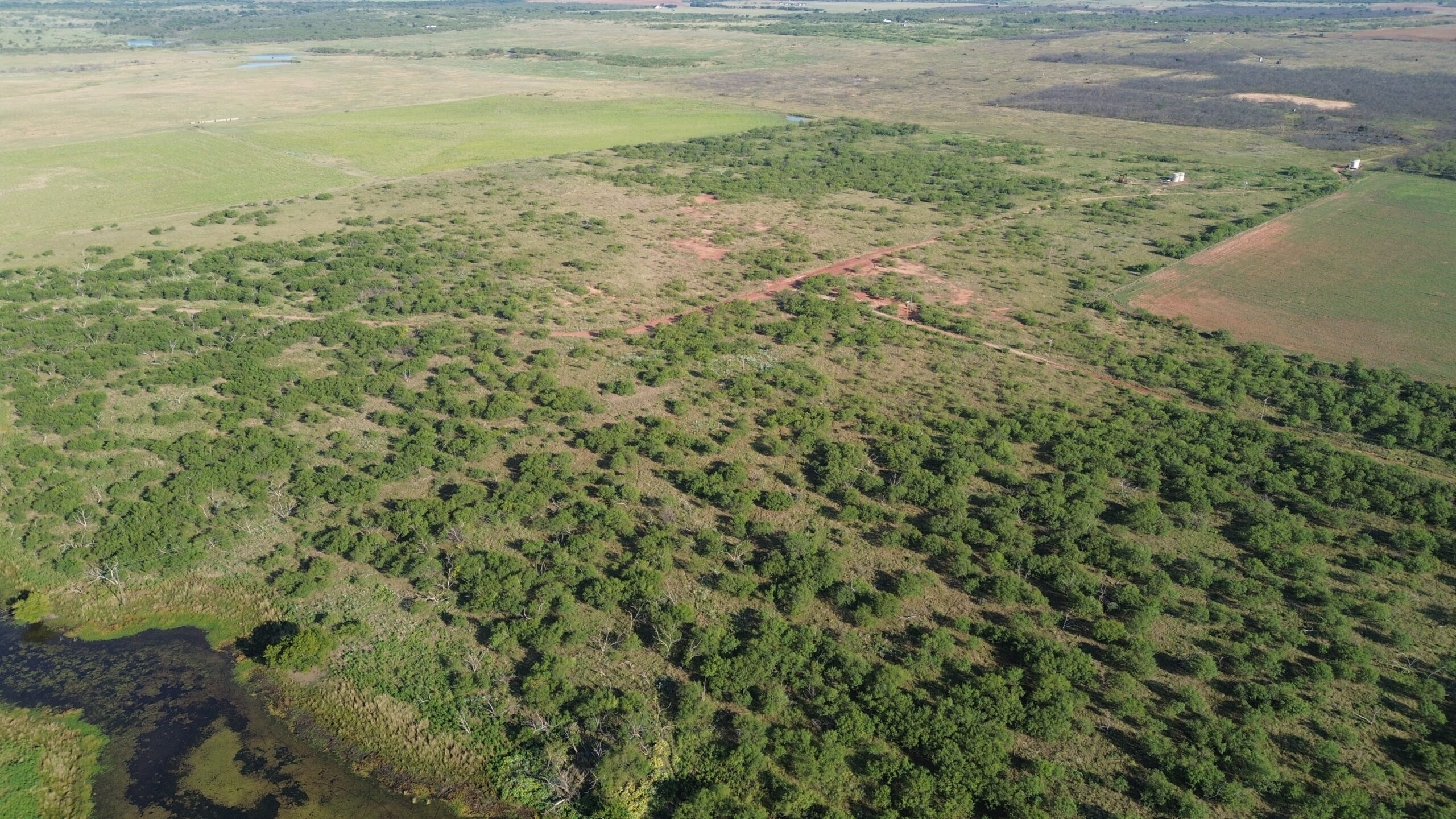 North Texas Ranch/Hunting Land for Sale with Minerals!