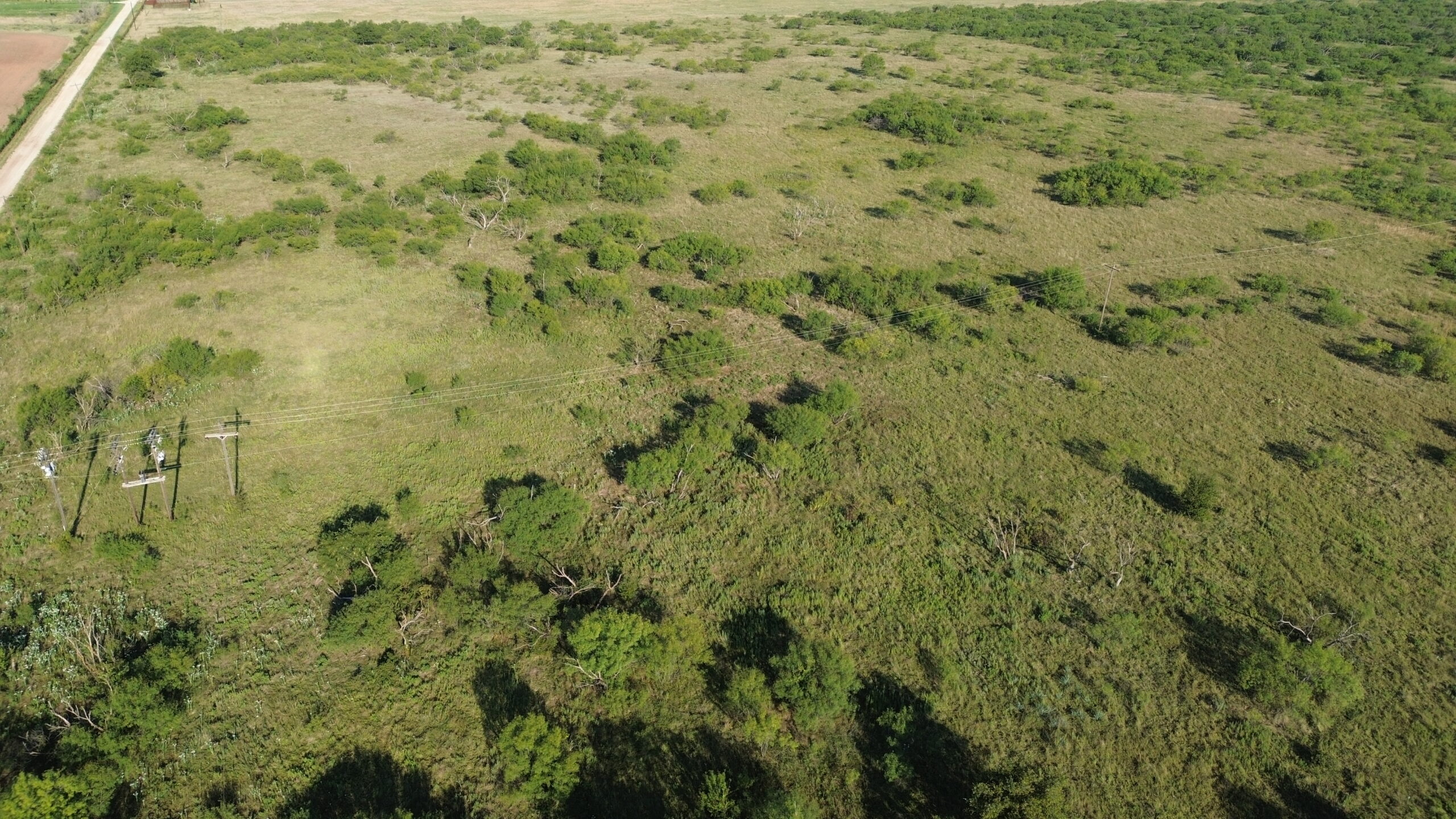 North Texas Ranch/Hunting Land for Sale with Minerals!
