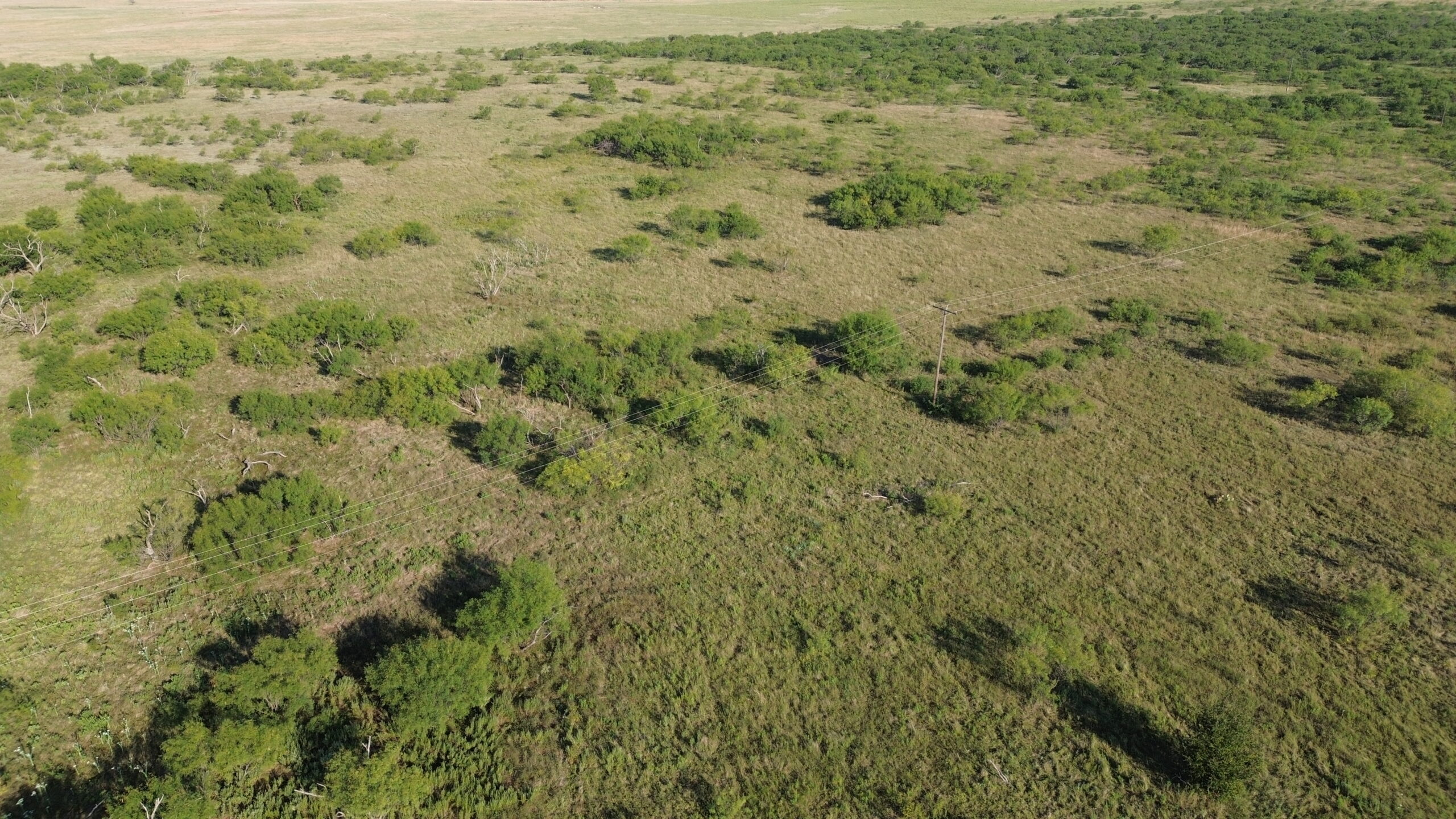 North Texas Ranch/Hunting Land for Sale with Minerals!