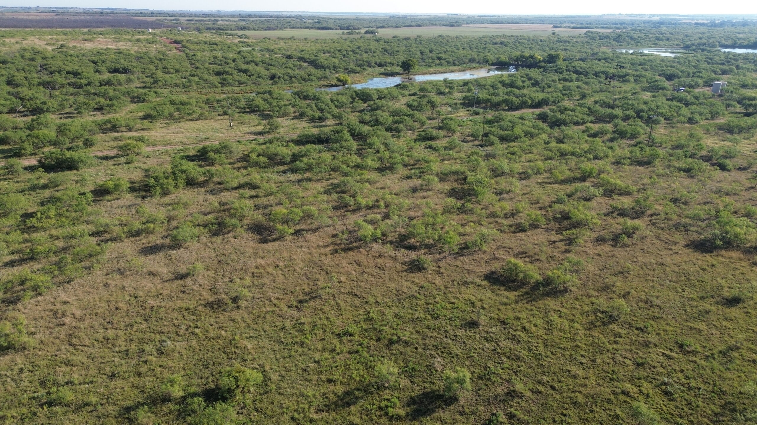 North Texas Ranch/Hunting Land for Sale with Minerals!