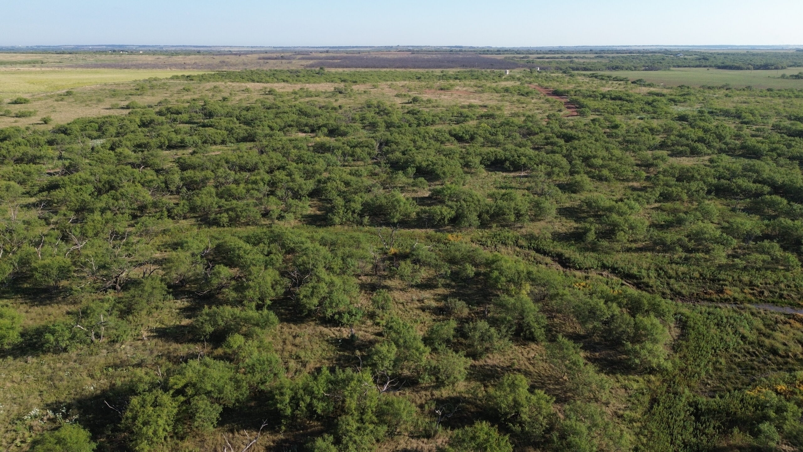 North Texas Ranch/Hunting Land for Sale with Minerals!