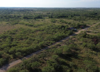 North Texas Ranch/Hunting Land for Sale with Minerals!