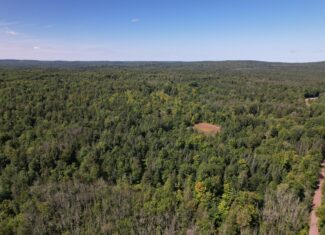 Land For Sale in Mellen, Wisconsin
