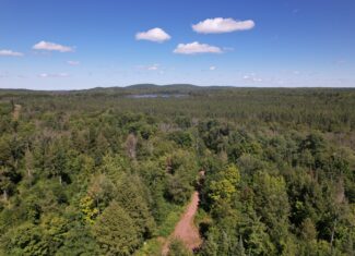 Land For Sale in Mellen, Wisconsin