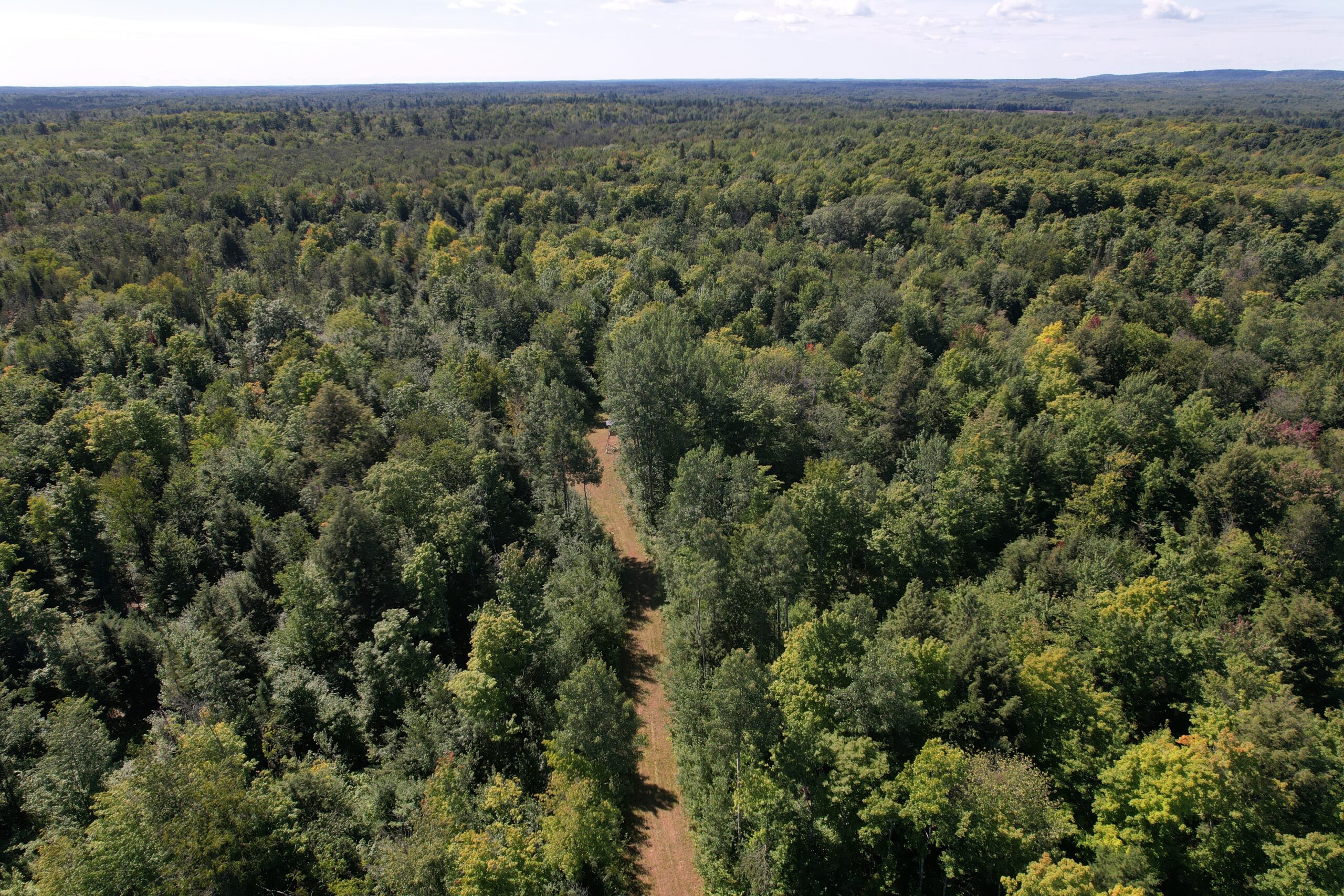 Land For Sale in Mellen, Wisconsin