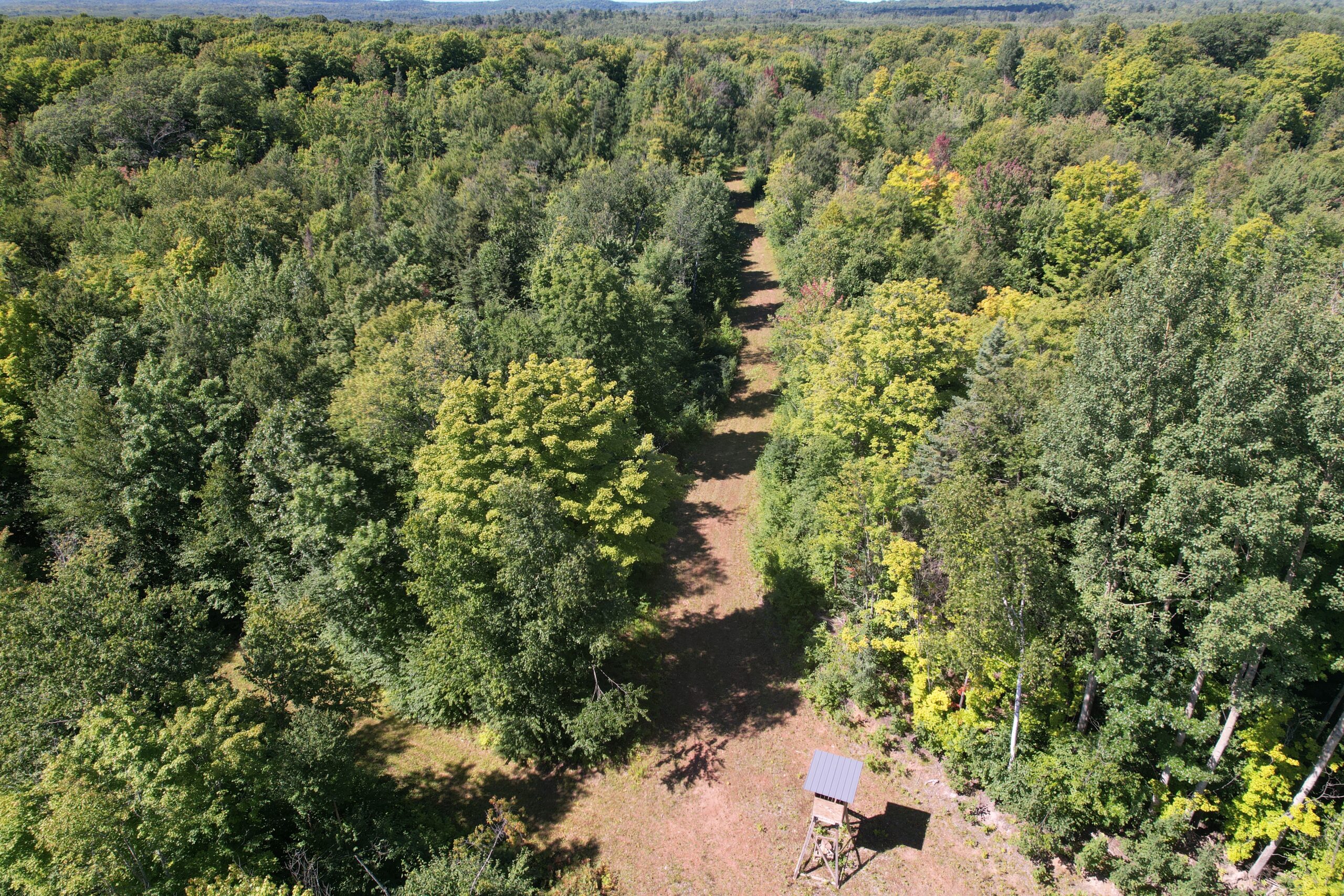 Land For Sale in Mellen, Wisconsin