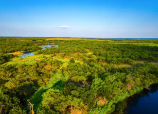 Prime Ranch and Commercial Property in Wichita Falls, Texas