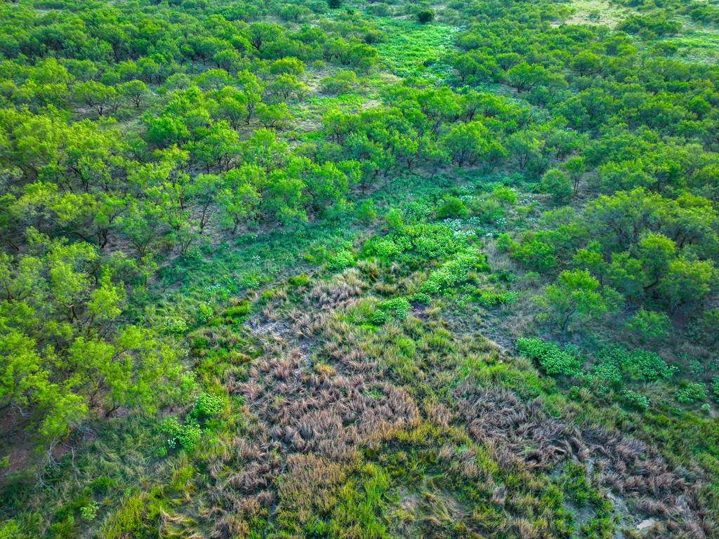 Prime Ranch and Commercial Property in Wichita Falls, Texas