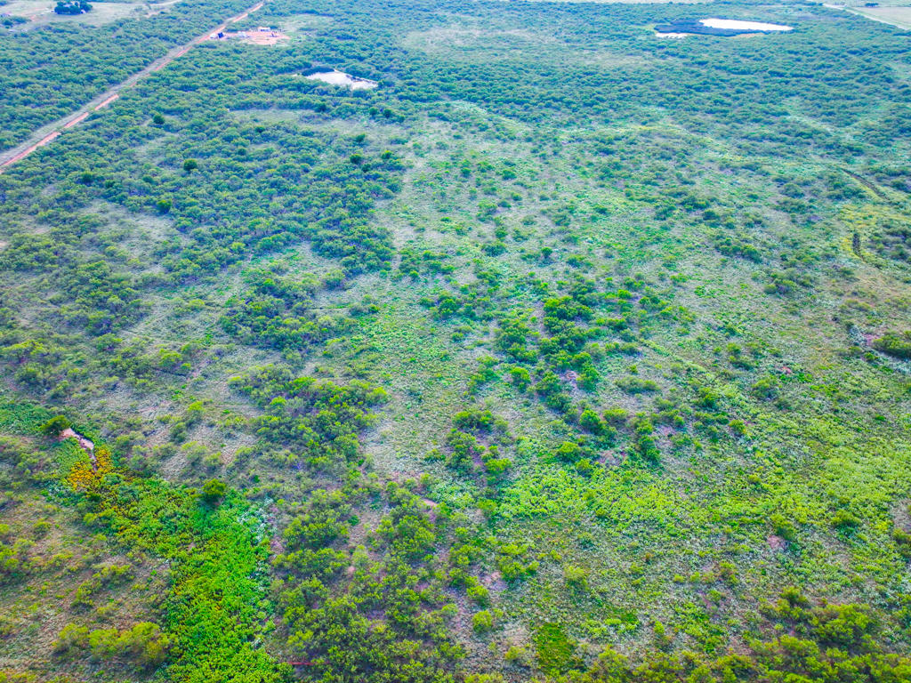 Prime Ranch and Commercial Property in Wichita Falls, Texas