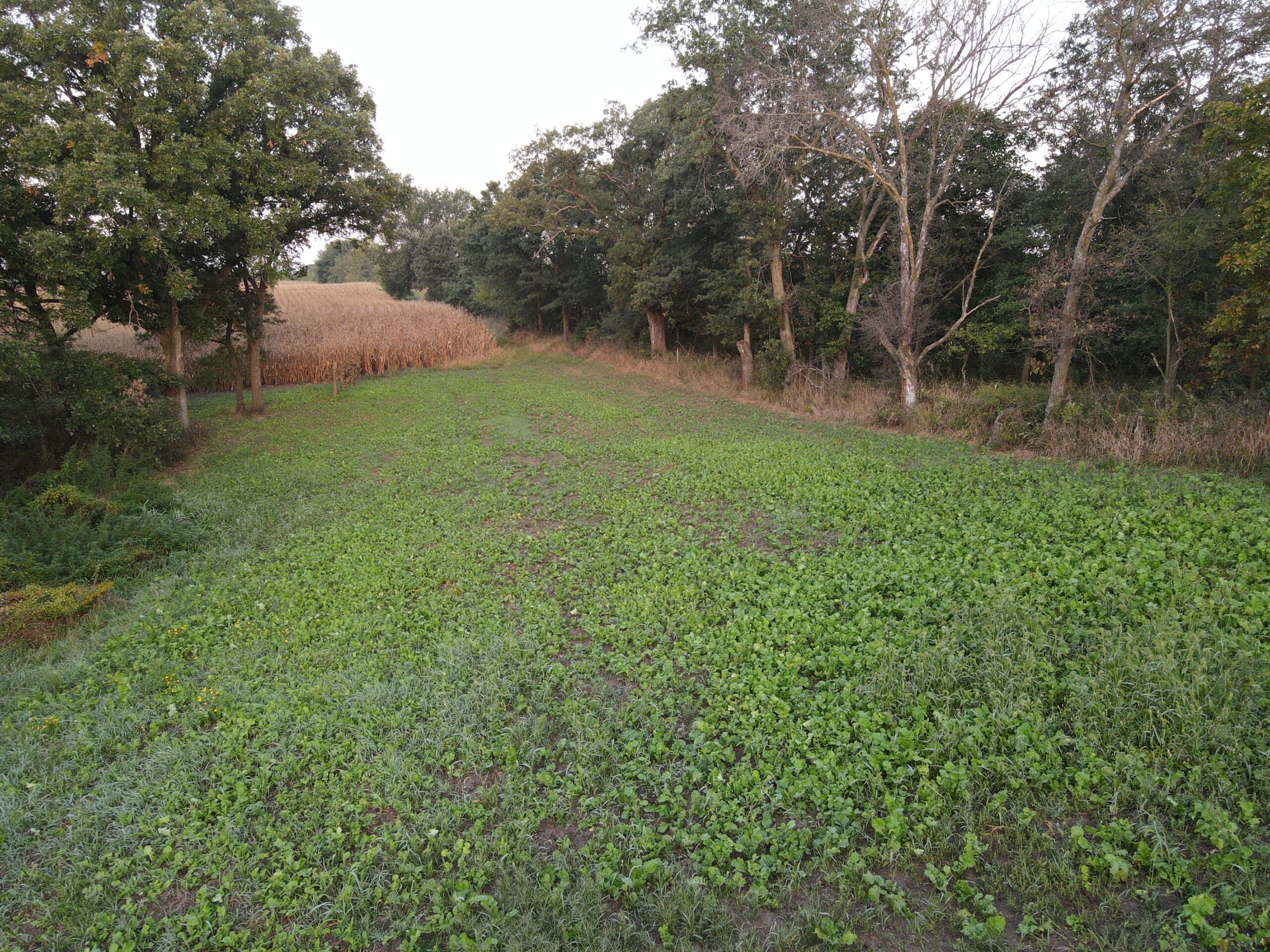 Dream Hunting Paradise in Decatur County, IA