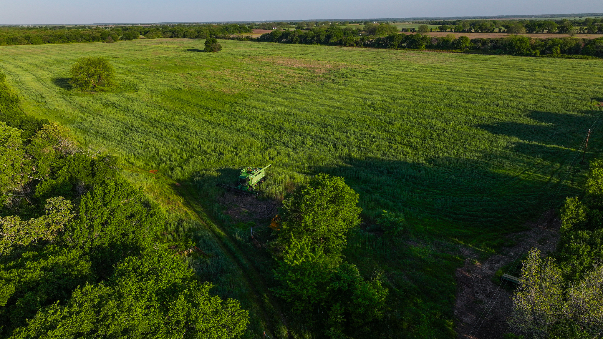 Prime North Texas Hill Country Land in Montague County, Texas