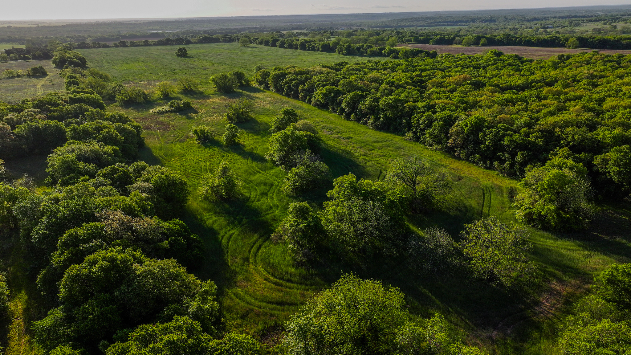 Prime North Texas Hill Country Land in Montague County, Texas