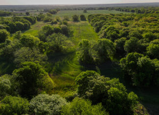 Prime North Texas Hill Country Land in Montague County, Texas