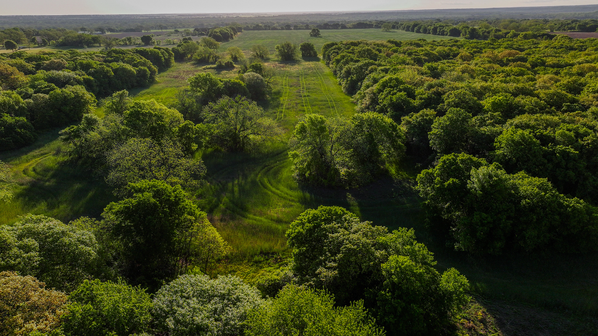 Prime North Texas Hill Country Land in Montague County, Texas