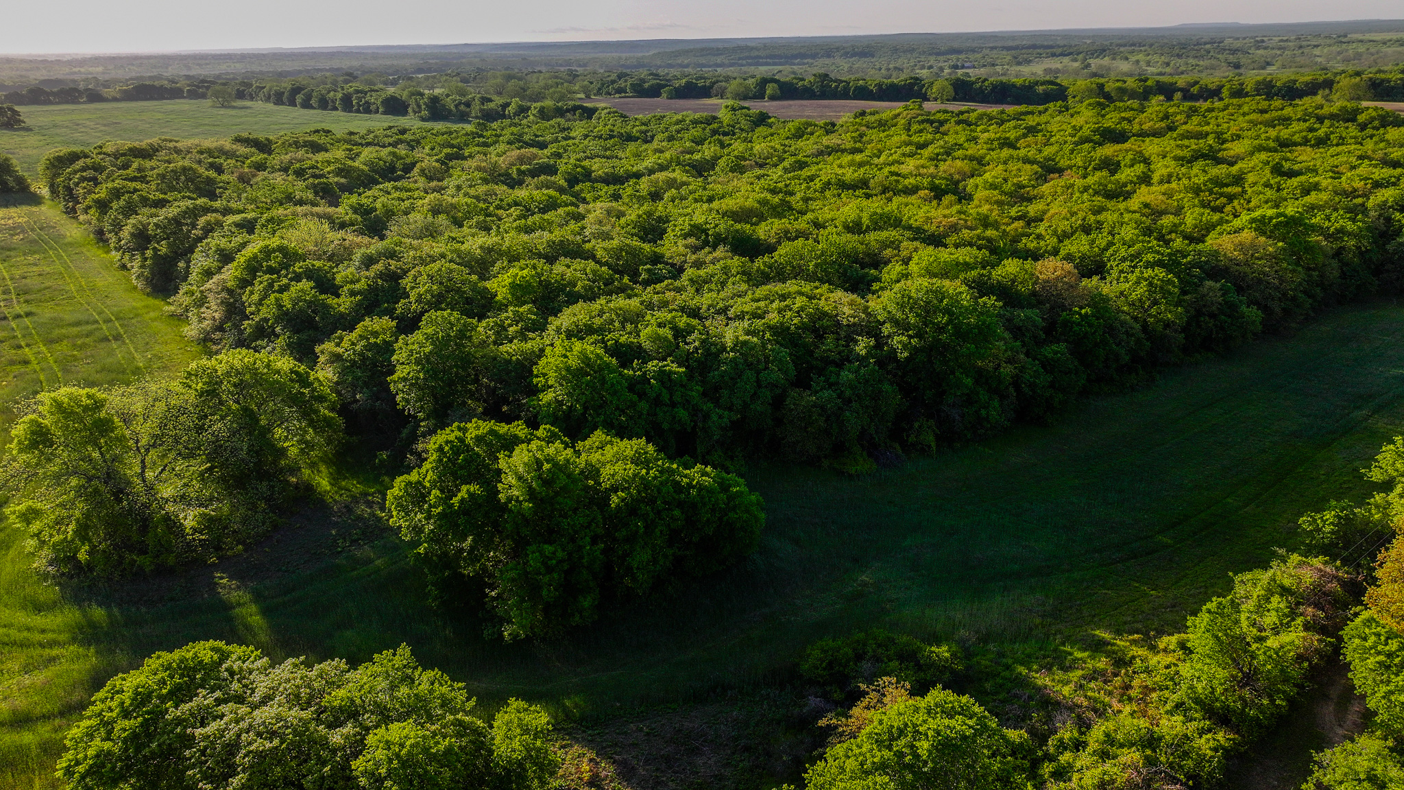 Prime North Texas Hill Country Land in Montague County, Texas