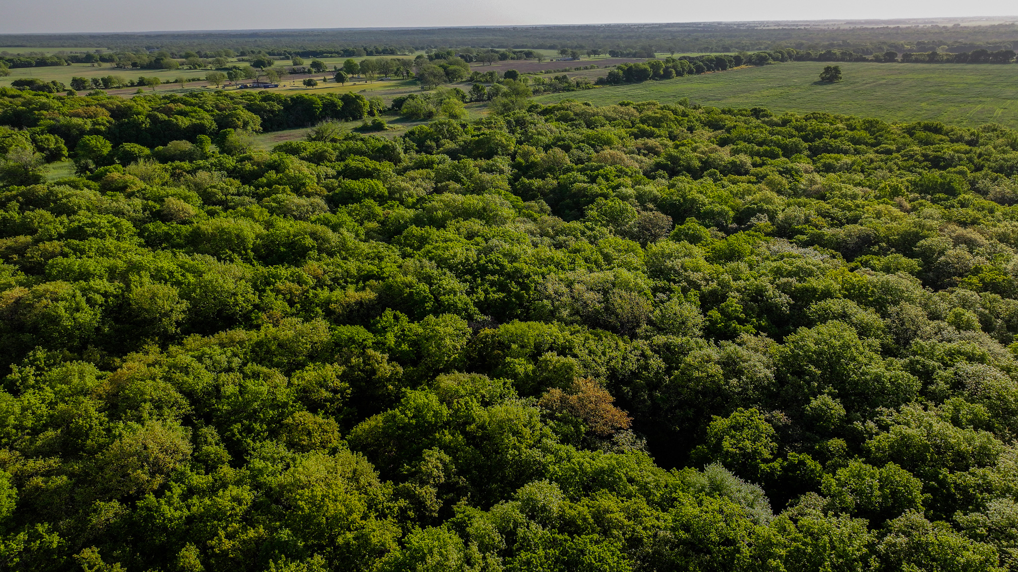 Prime North Texas Hill Country Land in Montague County, Texas