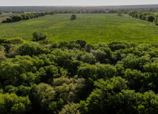 Prime North Texas Hill Country Land in Montague County, Texas