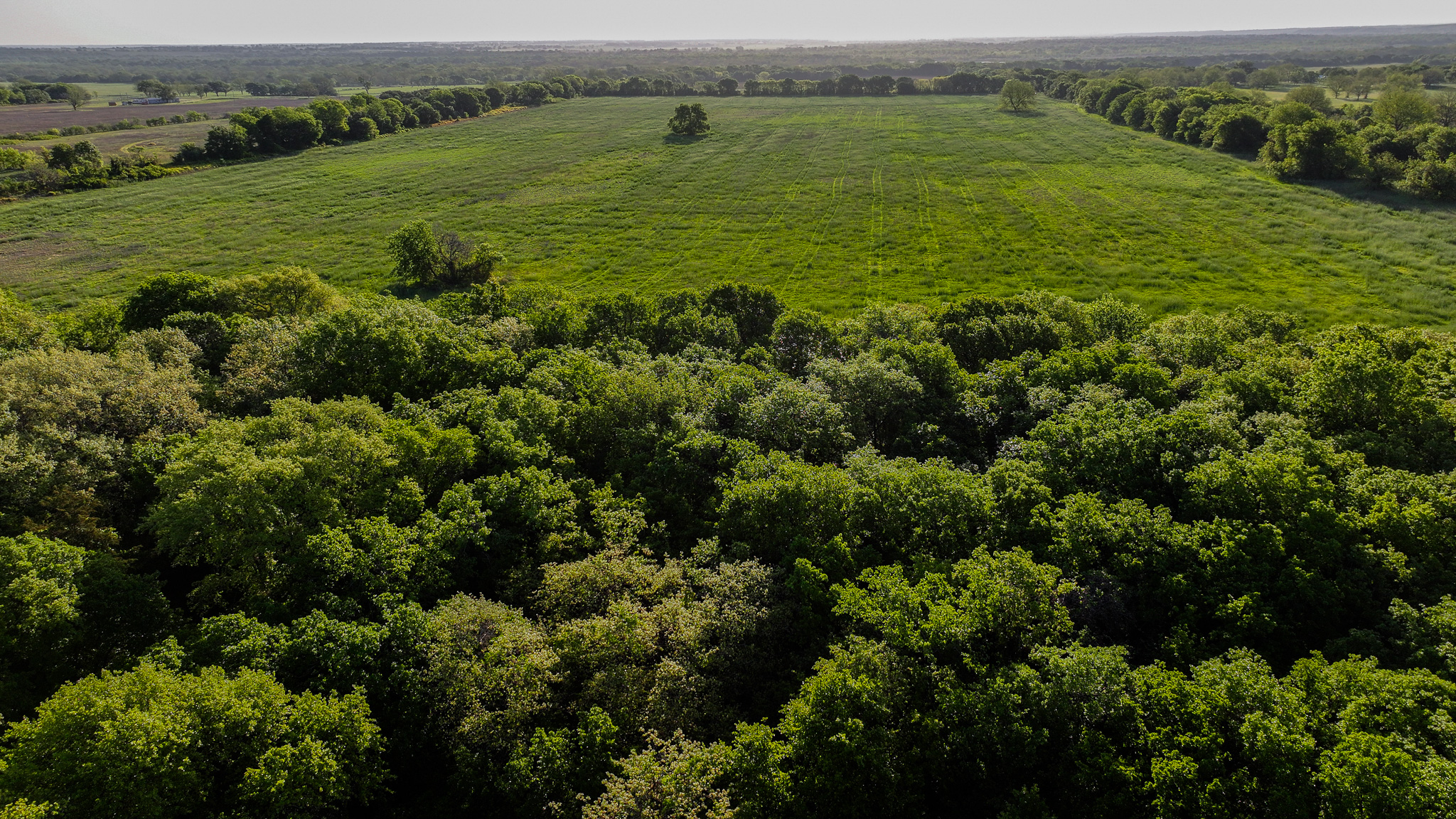 Prime North Texas Hill Country Land in Montague County, Texas